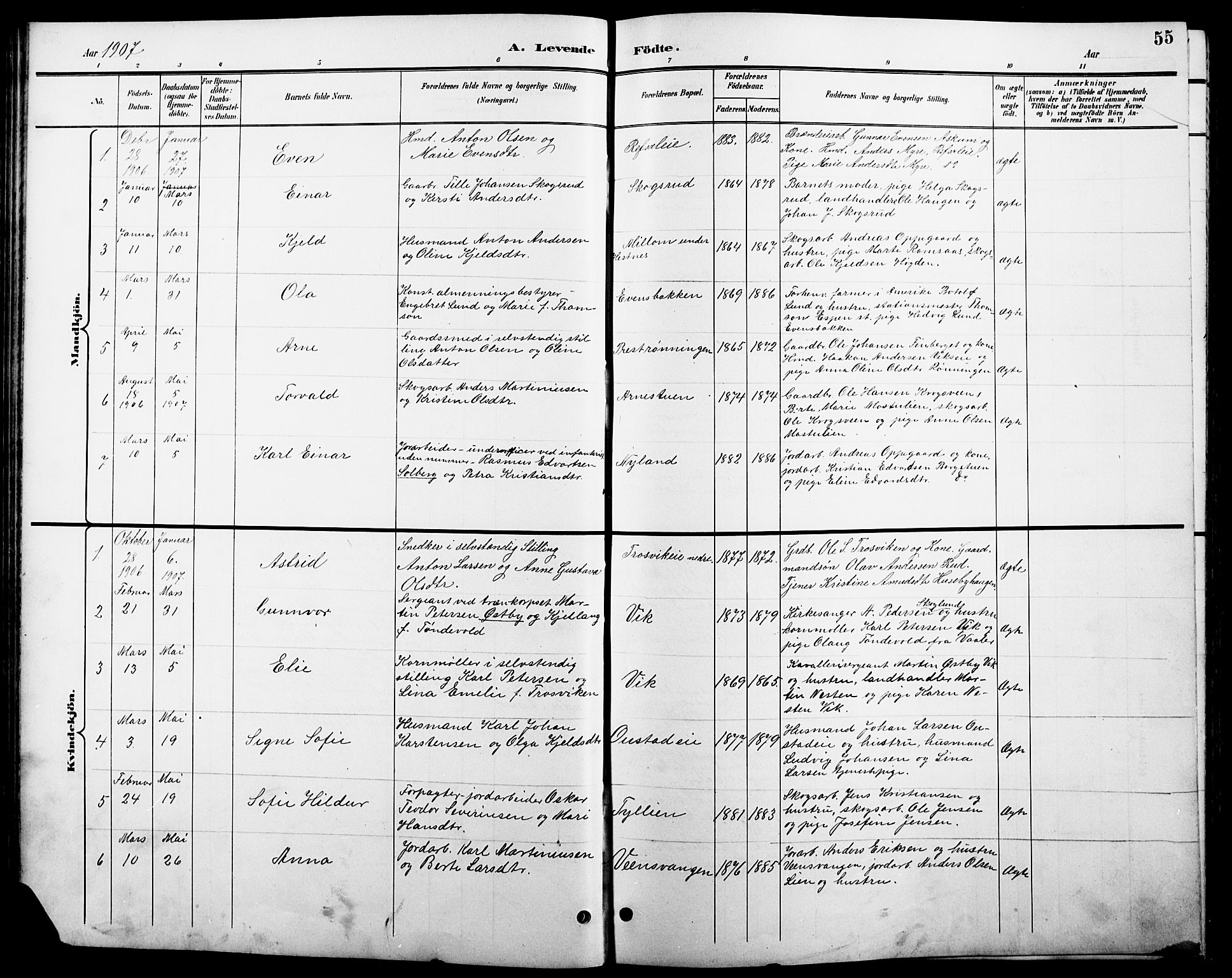 Stange prestekontor, SAH/PREST-002/L/L0011: Parish register (copy) no. 11, 1895-1917, p. 55