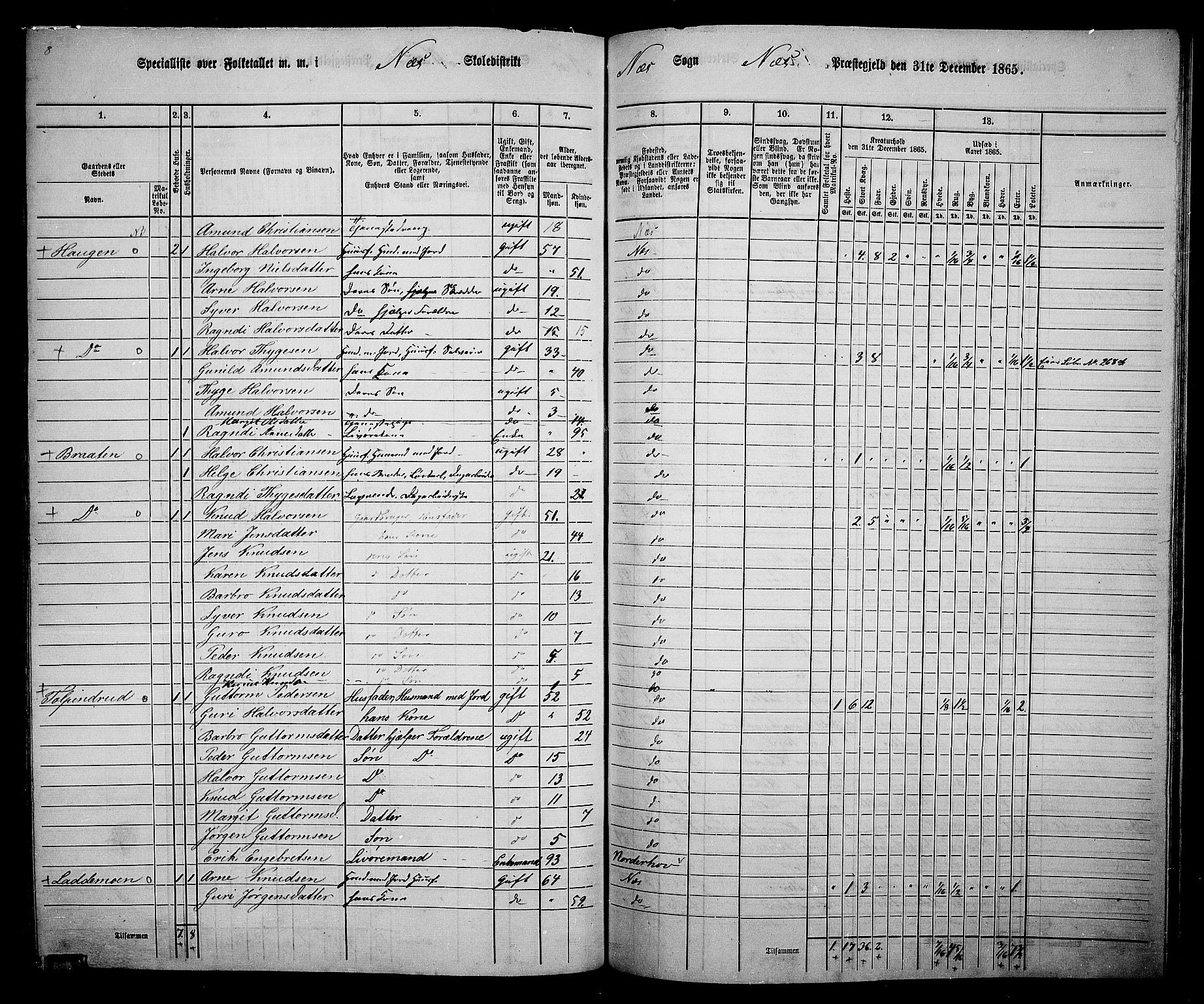 RA, 1865 census for Nes, 1865, p. 169