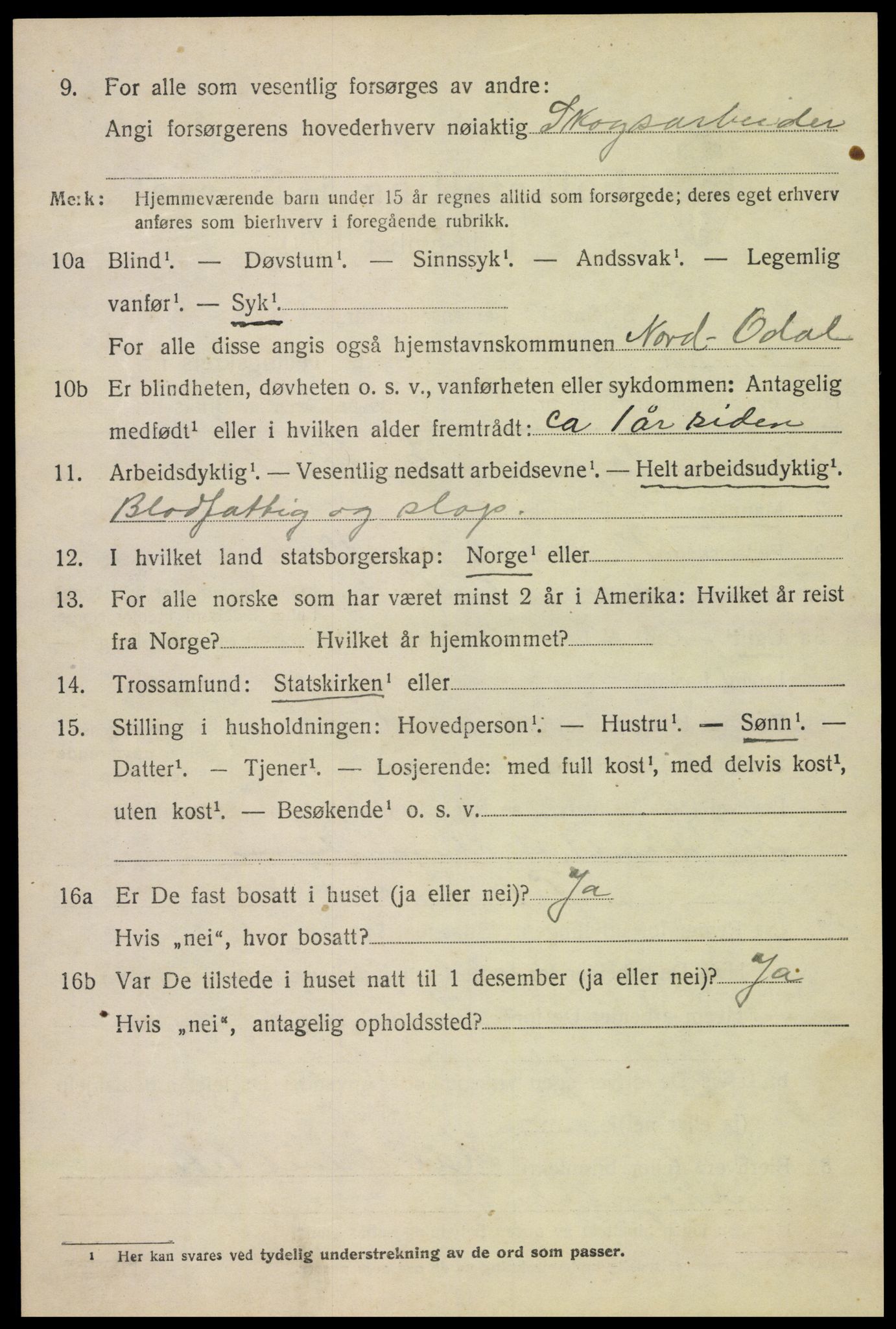 SAH, 1920 census for Nord-Odal, 1920, p. 1808