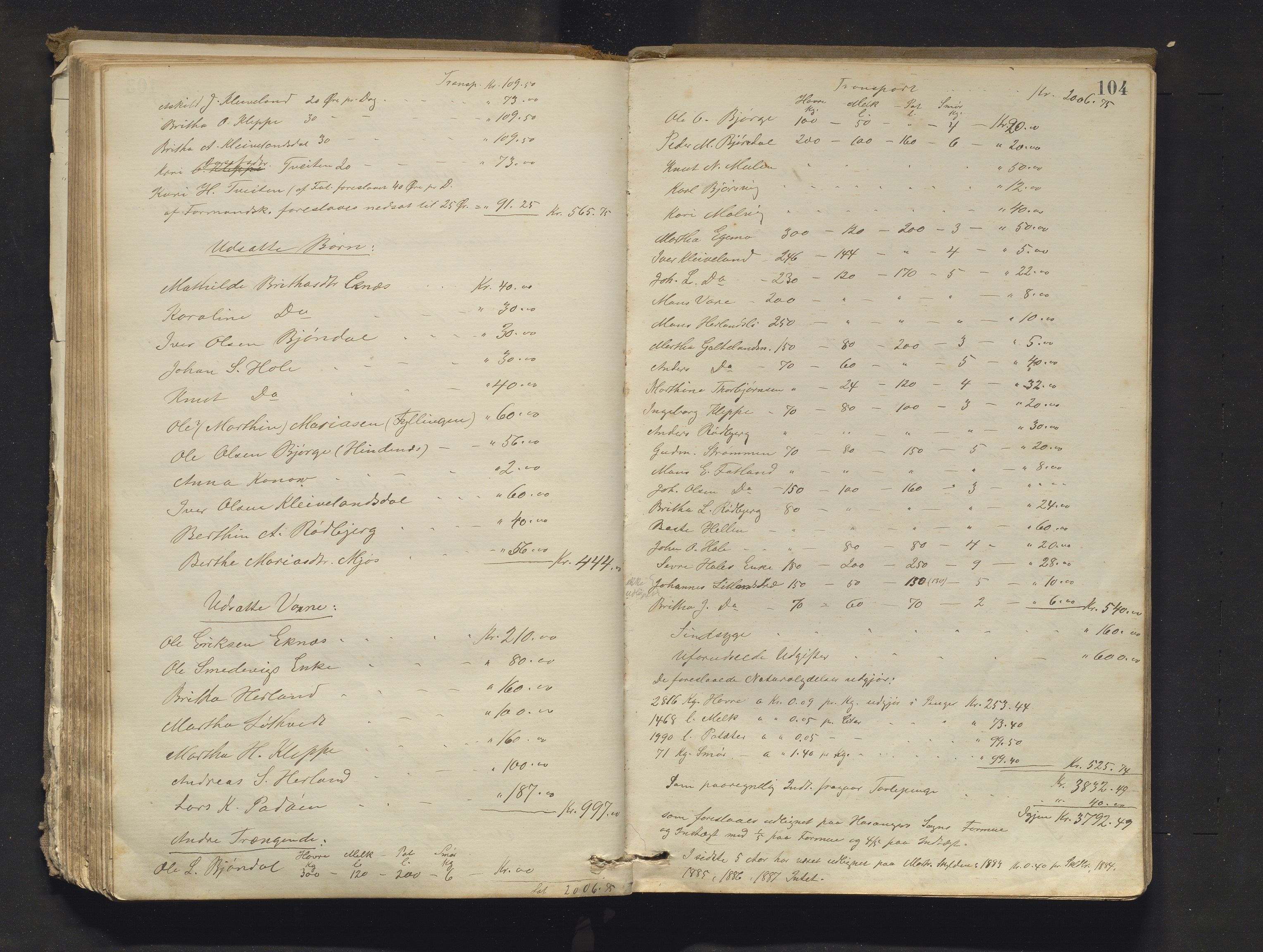 Hosanger kommune. Formannskapet, IKAH/1253a-021/A/Aa/L0003: Møtebok for Hosanger formannskap, heradsstyre og Hosanger soknestyre, 1881-1893, p. 104