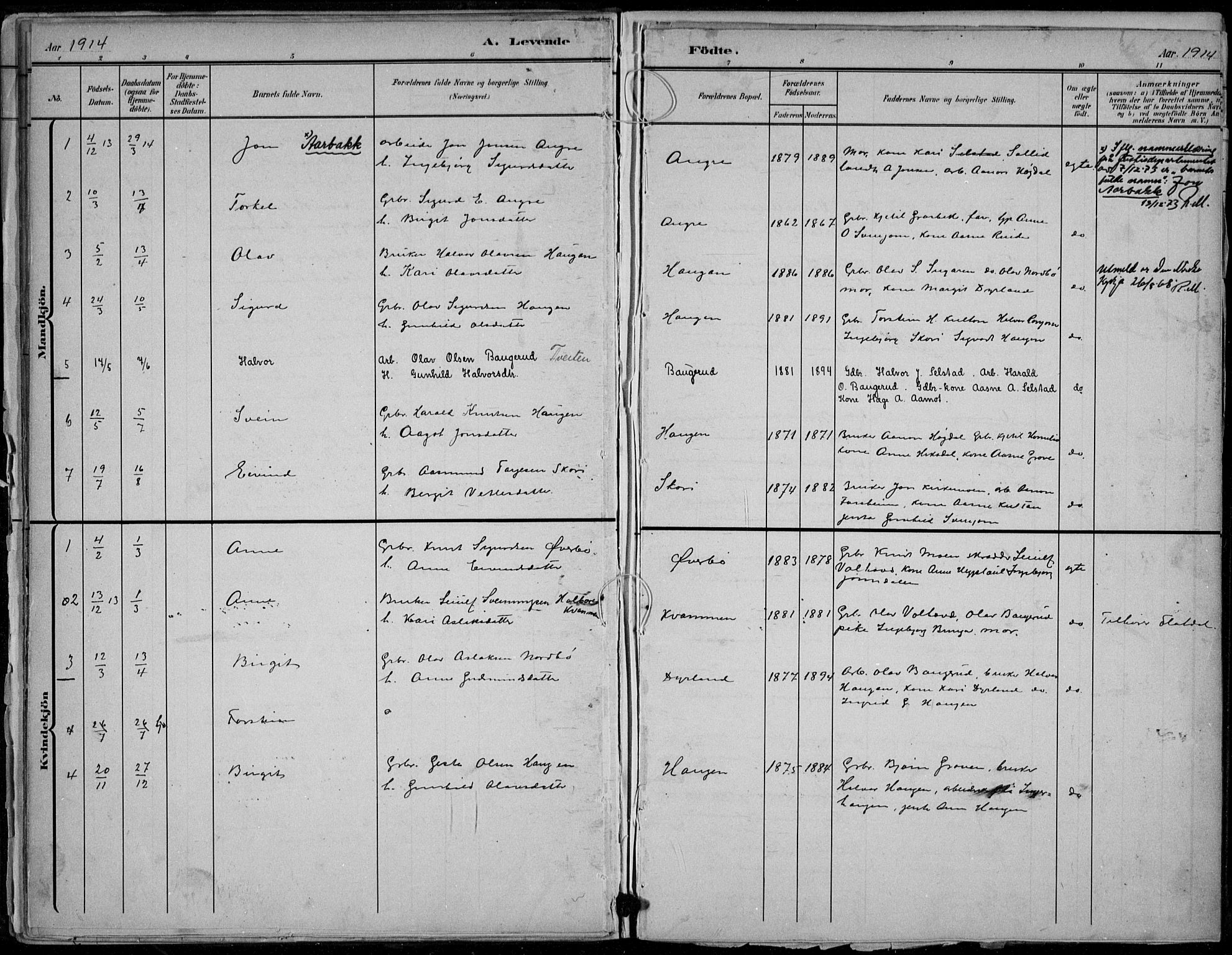 Seljord kirkebøker, AV/SAKO-A-20/F/Fc/L0002: Parish register (official) no. III 2, 1887-1920