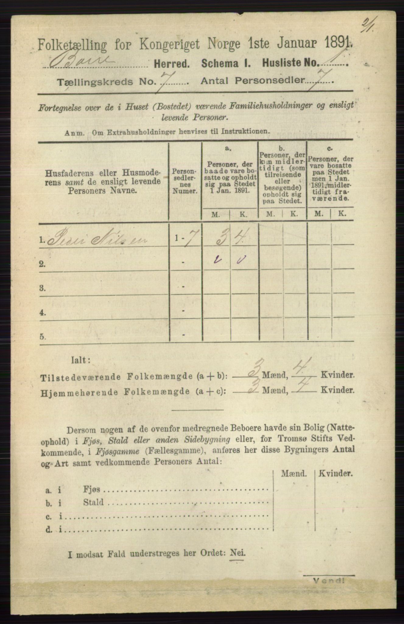 RA, 1891 census for 0717 Borre, 1891, p. 3137