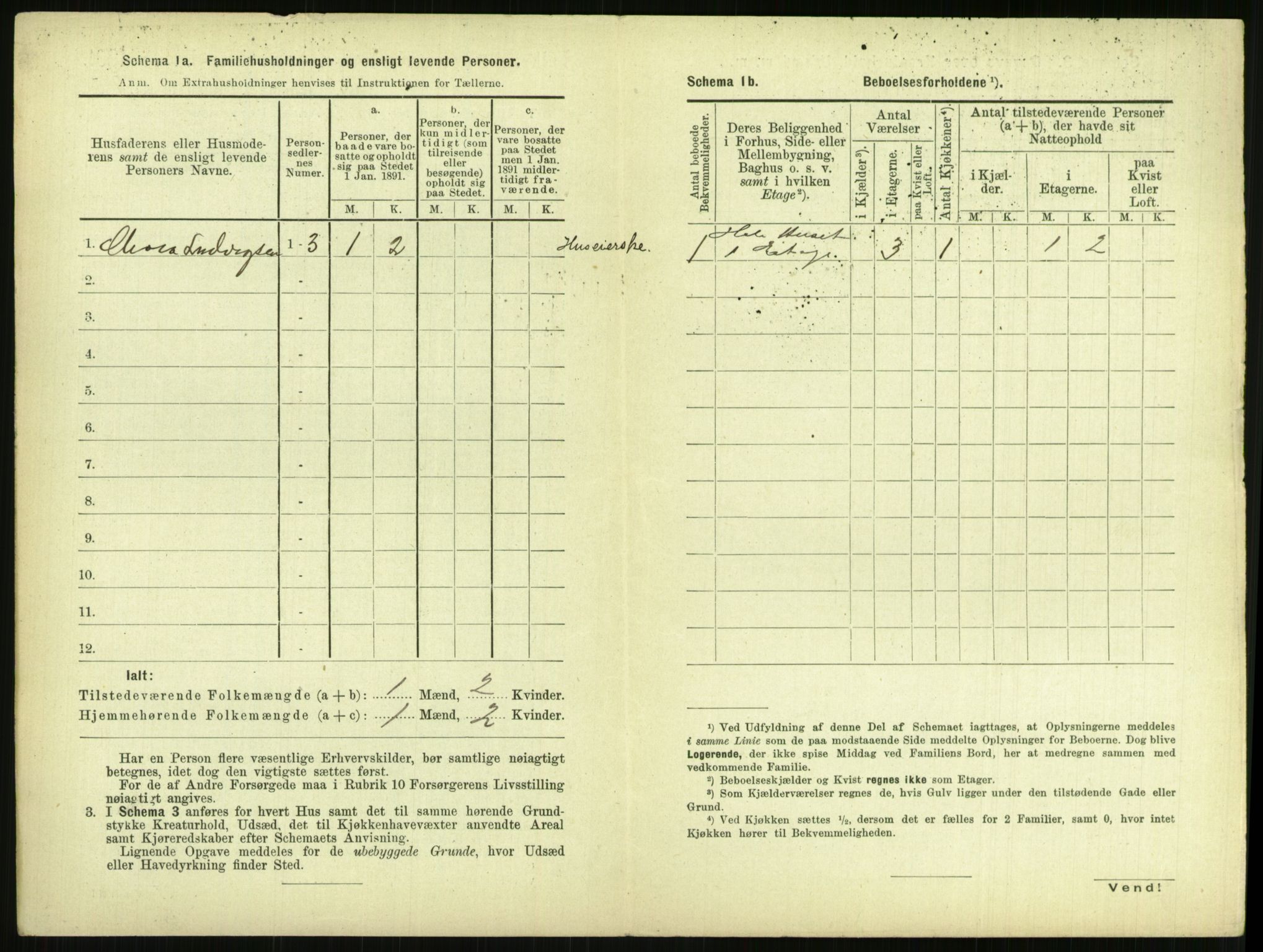 RA, 1891 census for 0806 Skien, 1891, p. 971