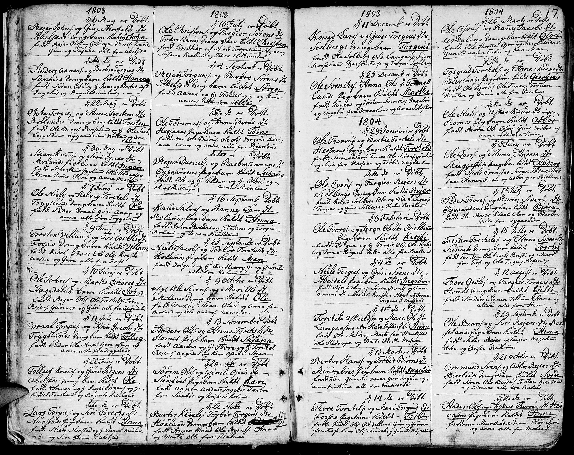 Bjelland sokneprestkontor, SAK/1111-0005/F/Fa/Faa/L0001: Parish register (official) no. A 1 /1, 1793-1815, p. 17