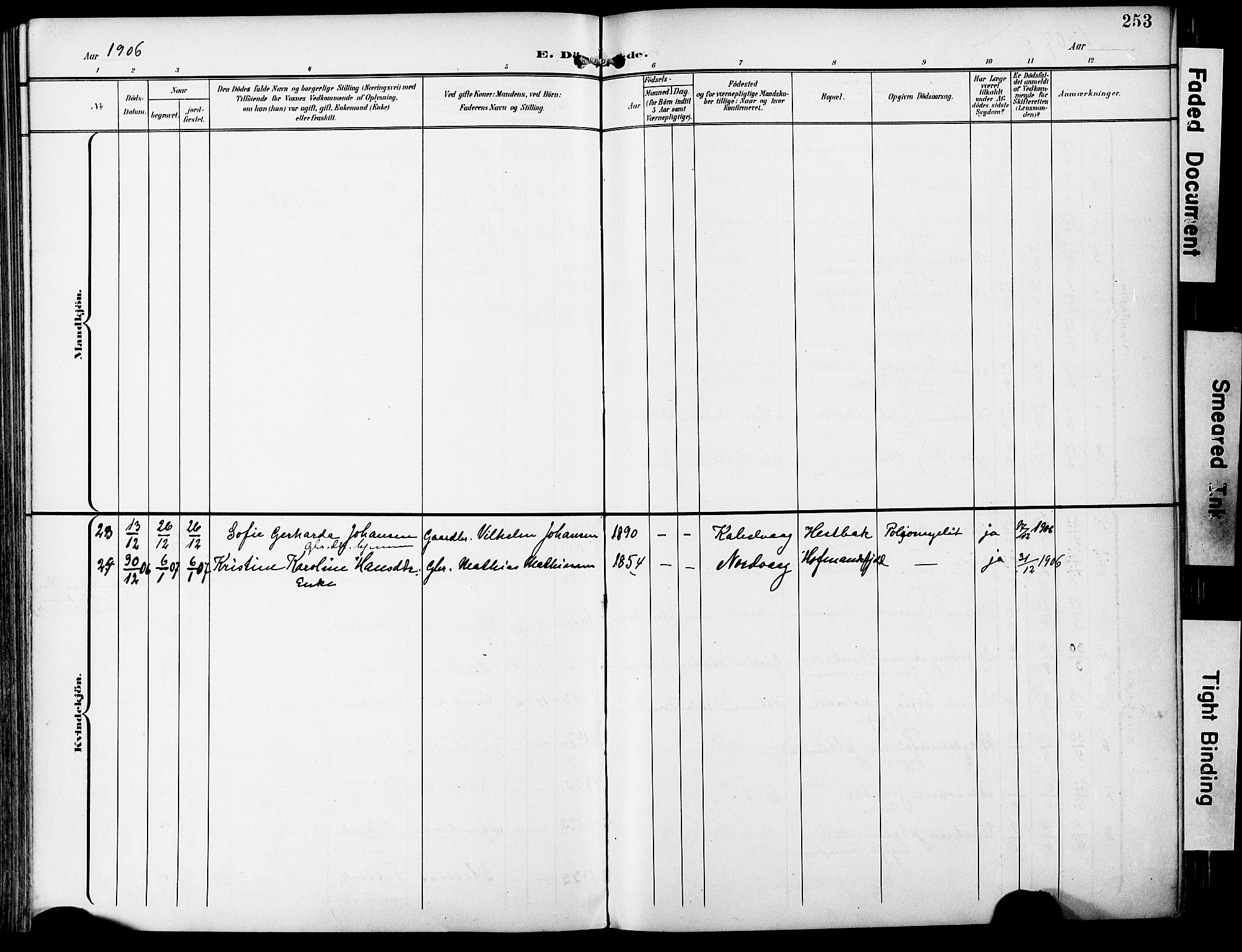 Ministerialprotokoller, klokkerbøker og fødselsregistre - Nordland, AV/SAT-A-1459/859/L0848: Parish register (official) no. 859A08, 1900-1912, p. 253