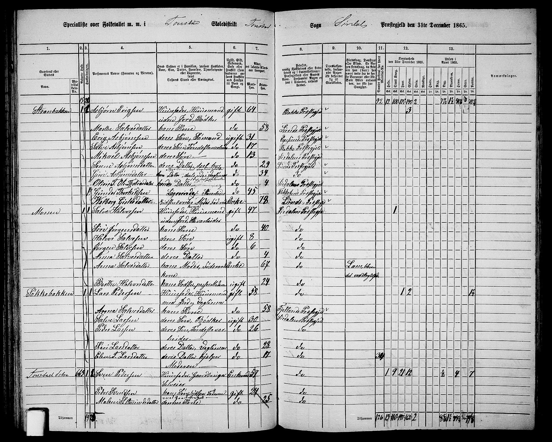 RA, 1865 census for Sirdal, 1865, p. 28