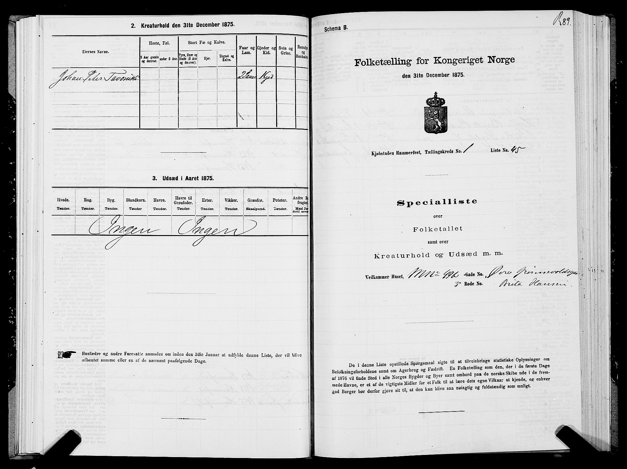 SATØ, 1875 census for 2001B Hammerfest/Hammerfest, 1875, p. 1089