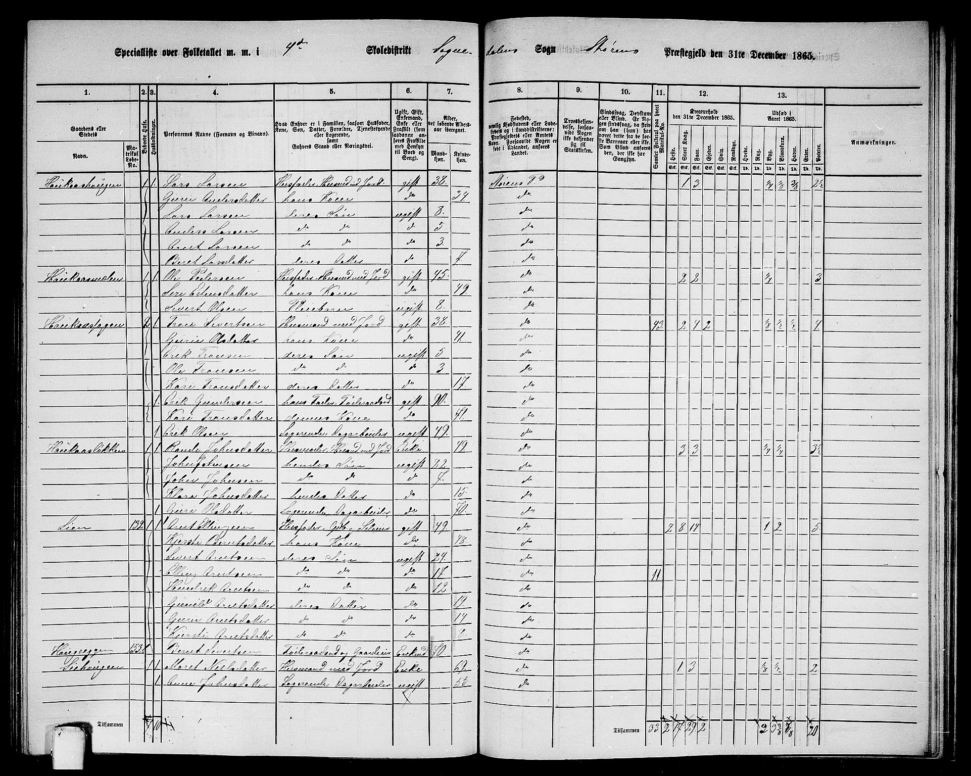 RA, 1865 census for Støren, 1865, p. 283