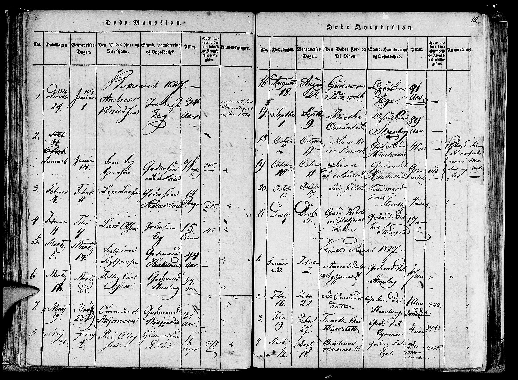 Lund sokneprestkontor, AV/SAST-A-101809/S06/L0005: Parish register (official) no. A 5, 1815-1833, p. 111