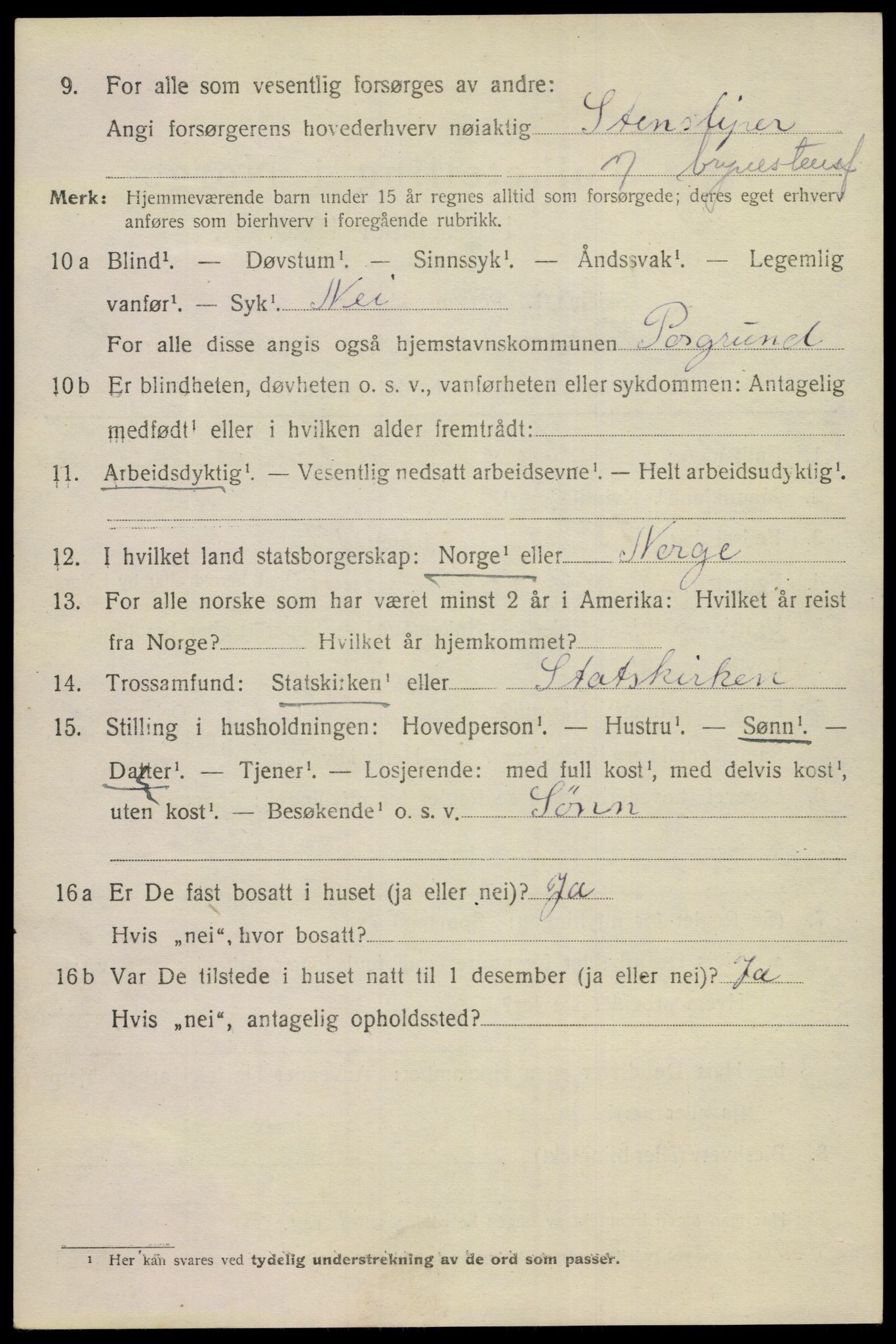 SAKO, 1920 census for Porsgrunn, 1920, p. 19910