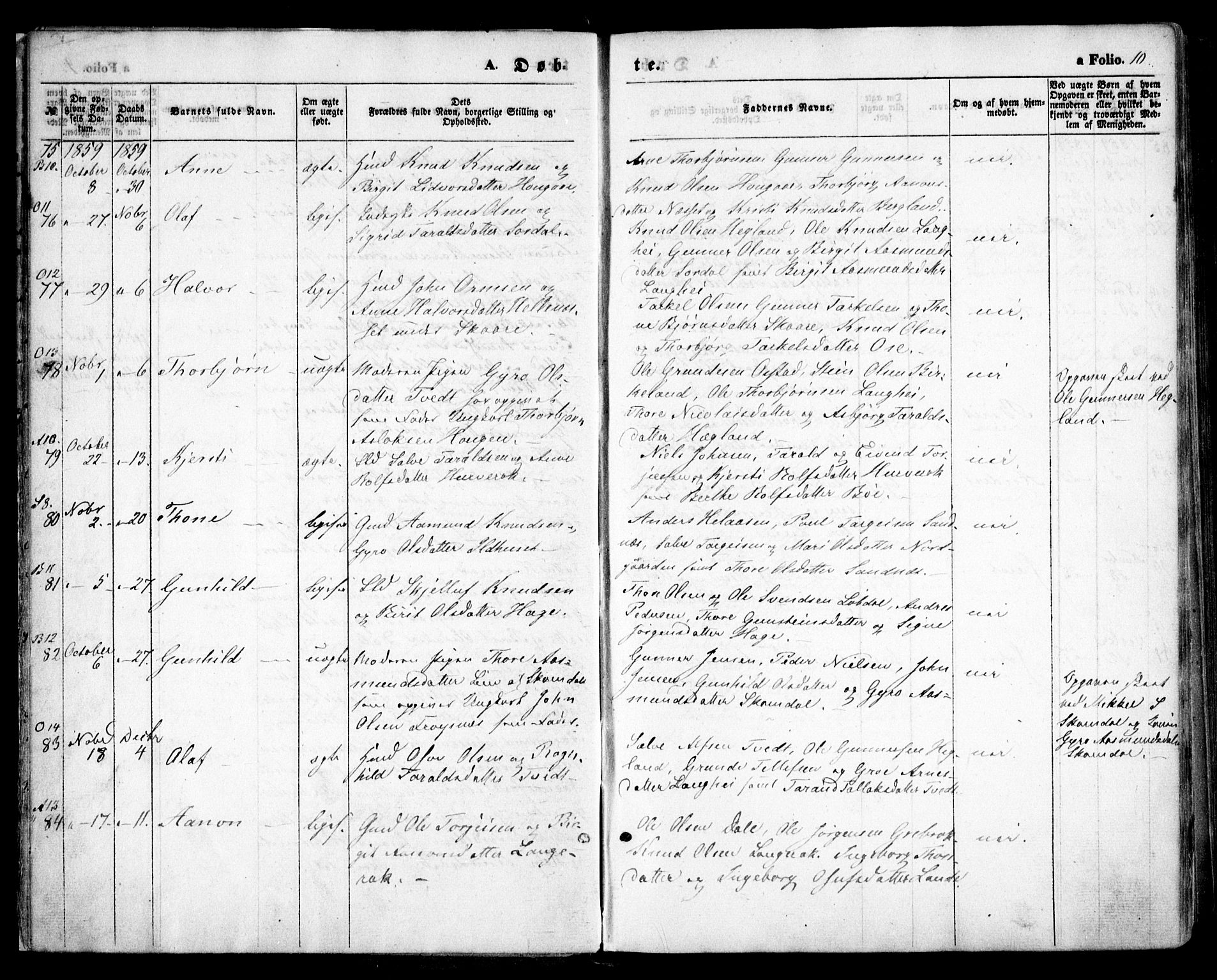 Bygland sokneprestkontor, AV/SAK-1111-0006/F/Fa/Fab/L0005: Parish register (official) no. A 5, 1859-1873, p. 10