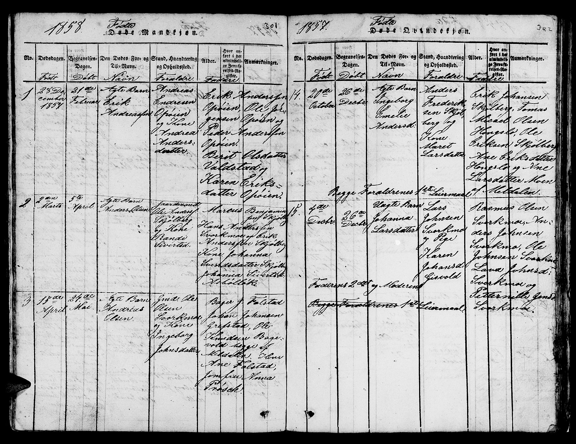 Ministerialprotokoller, klokkerbøker og fødselsregistre - Sør-Trøndelag, SAT/A-1456/671/L0842: Parish register (copy) no. 671C01, 1816-1867, p. 301-302