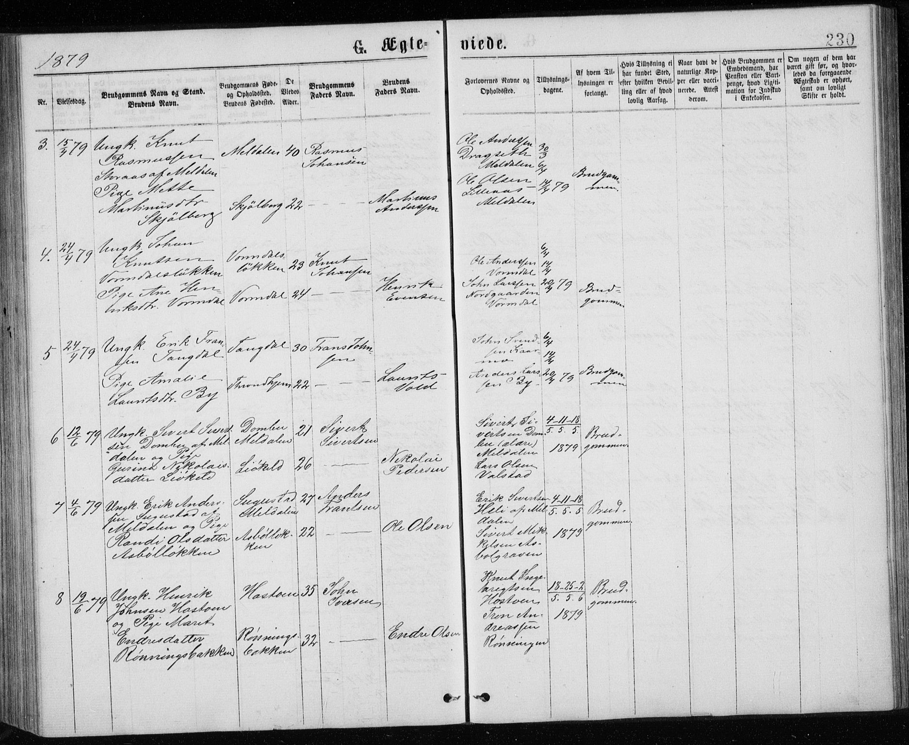 Ministerialprotokoller, klokkerbøker og fødselsregistre - Sør-Trøndelag, AV/SAT-A-1456/671/L0843: Parish register (copy) no. 671C02, 1873-1892, p. 230