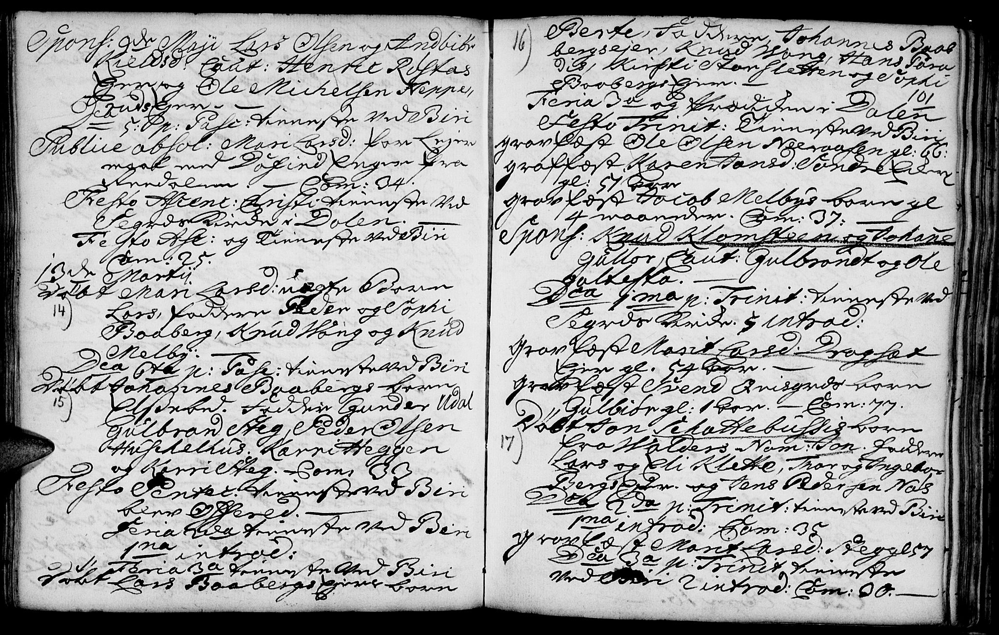 Biri prestekontor, AV/SAH-PREST-096/H/Ha/Haa/L0001: Parish register (official) no. 1, 1730-1754, p. 101