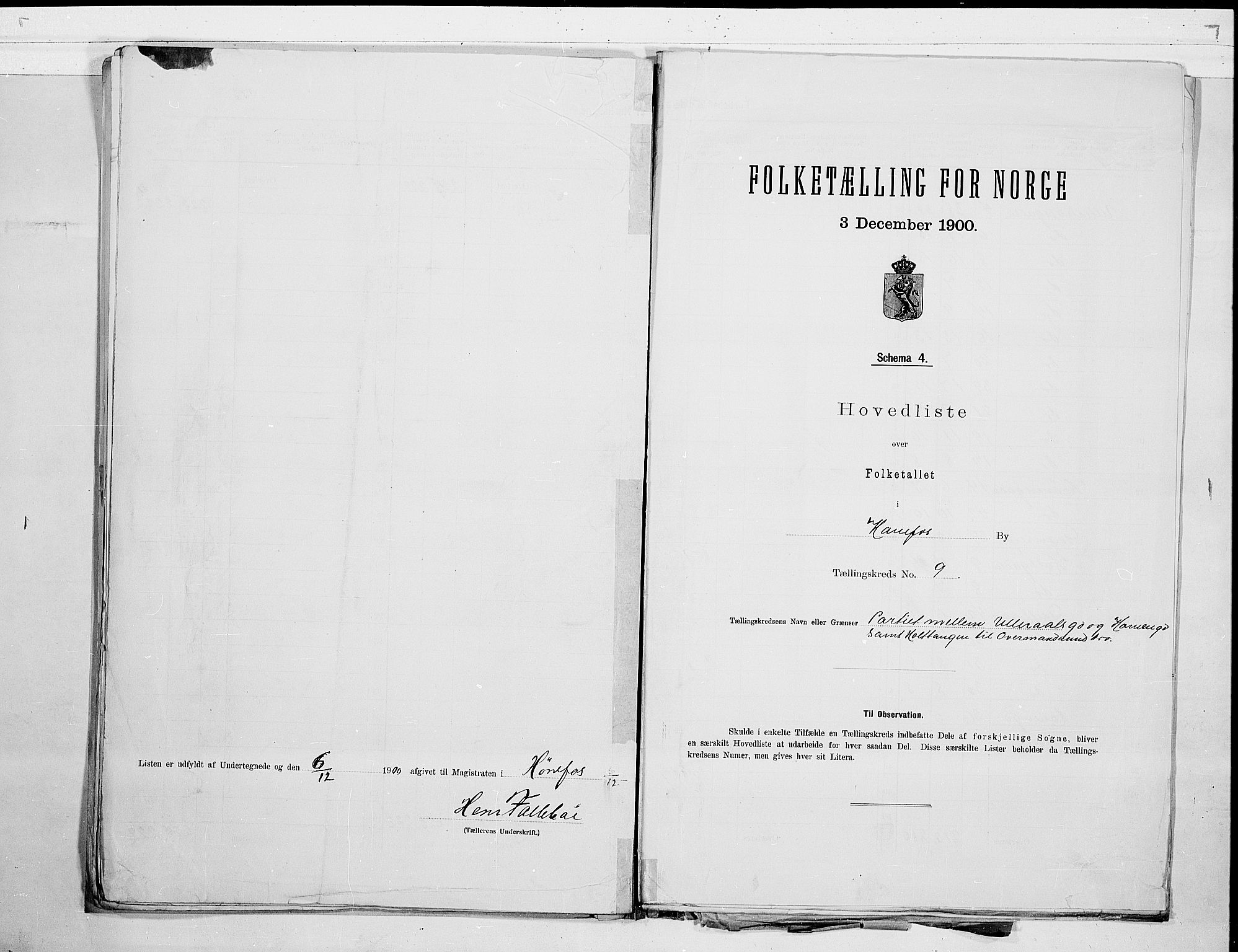 RA, 1900 census for Hønefoss, 1900, p. 20