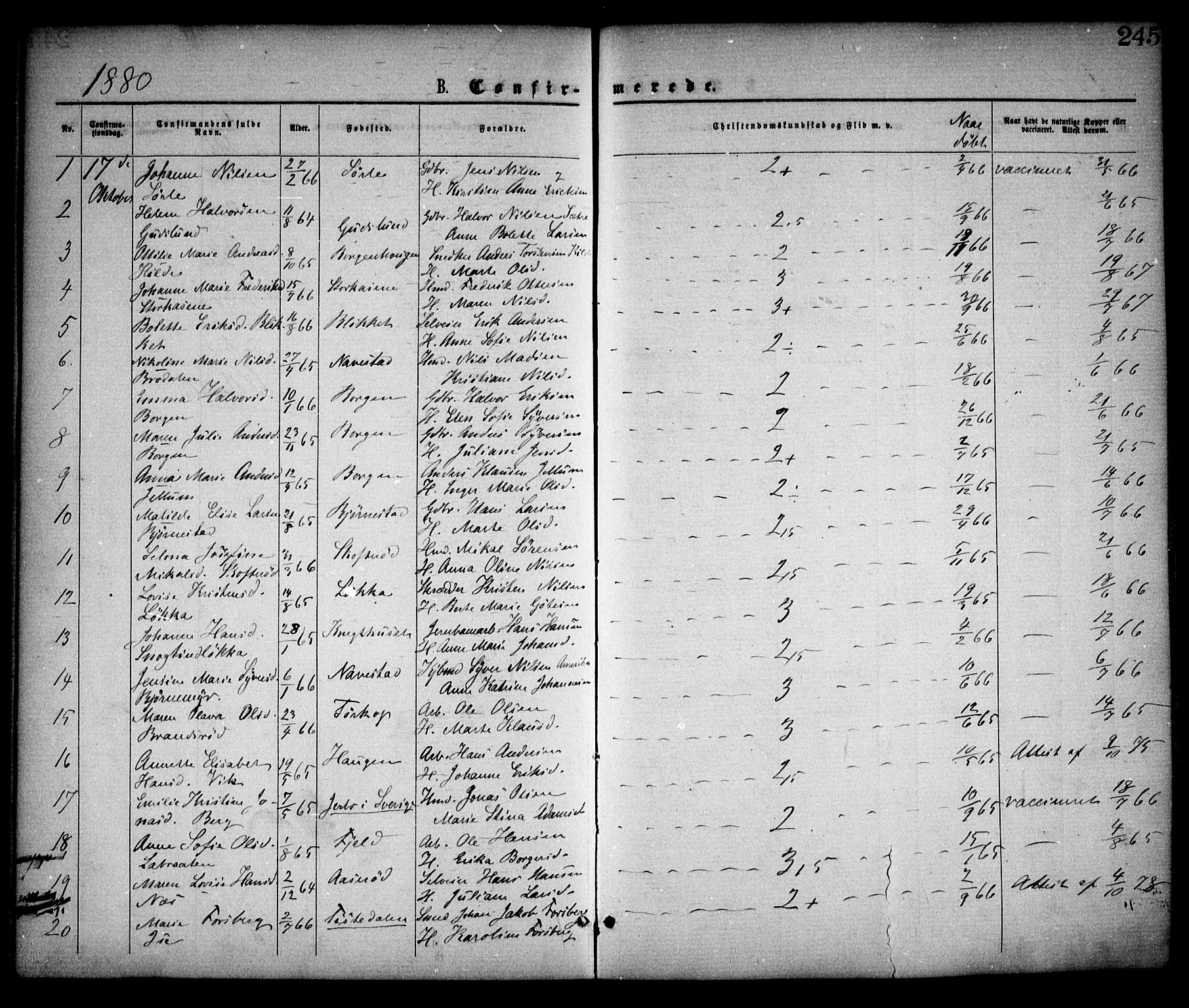 Skjeberg prestekontor Kirkebøker, SAO/A-10923/F/Fa/L0008: Parish register (official) no. I 8, 1869-1885, p. 245