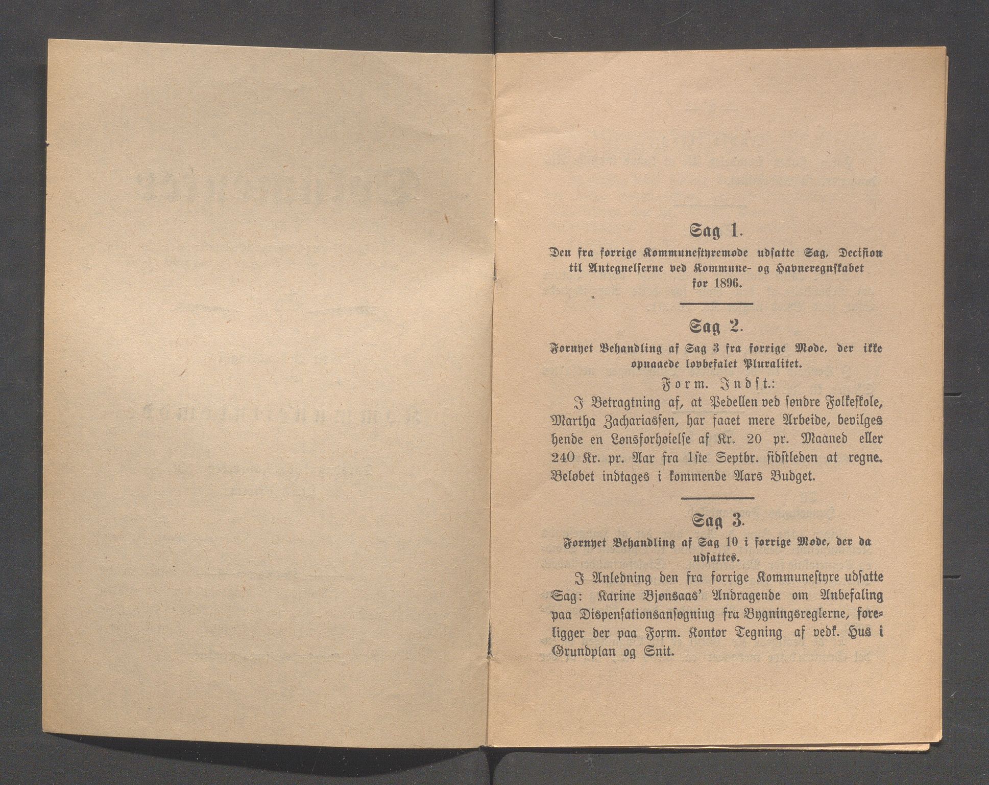 Haugesund kommune - Formannskapet og Bystyret, IKAR/A-740/A/Abb/L0001: Bystyreforhandlinger, 1889-1907, p. 216