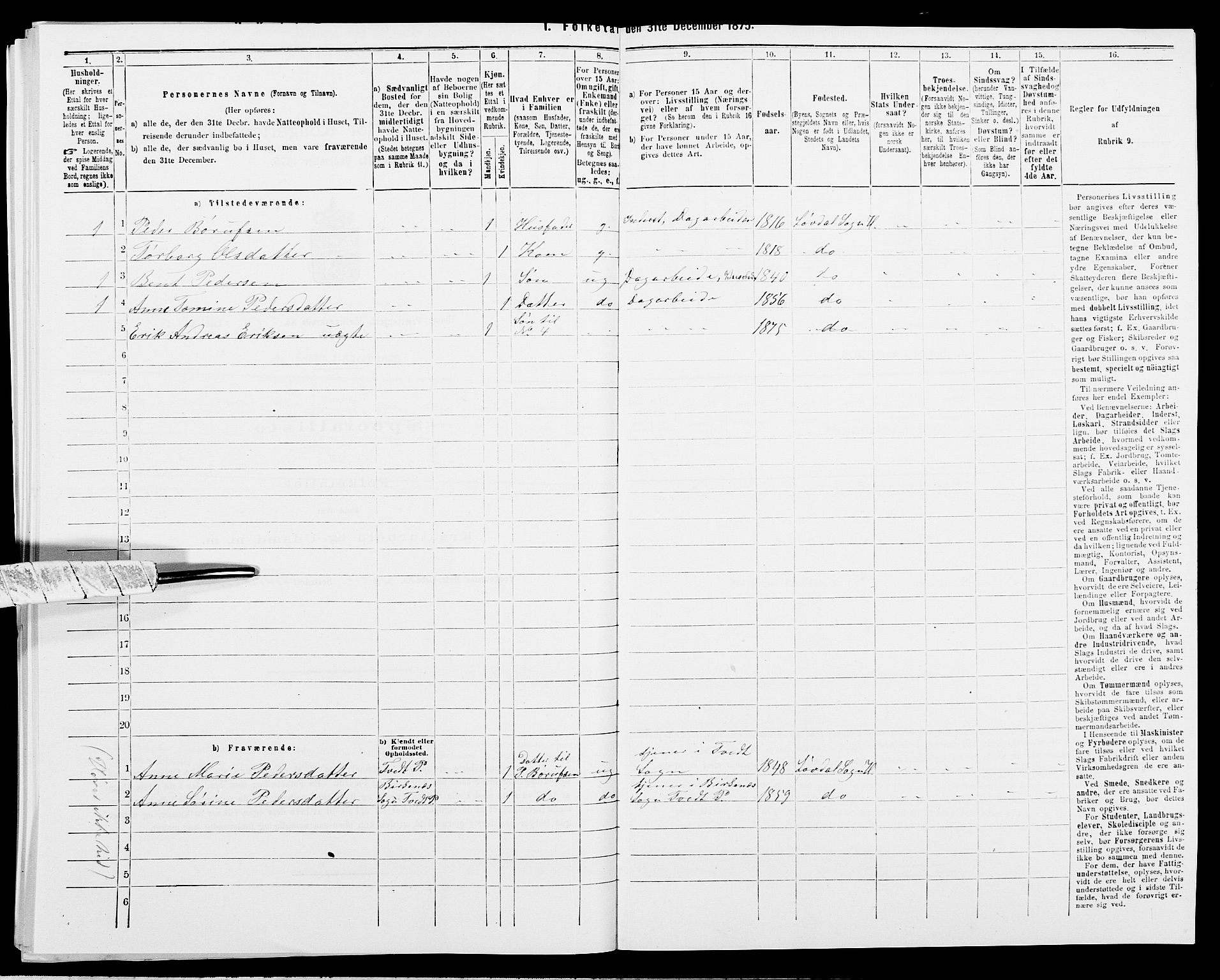 SAK, 1875 census for 1020P Holum, 1875, p. 1217