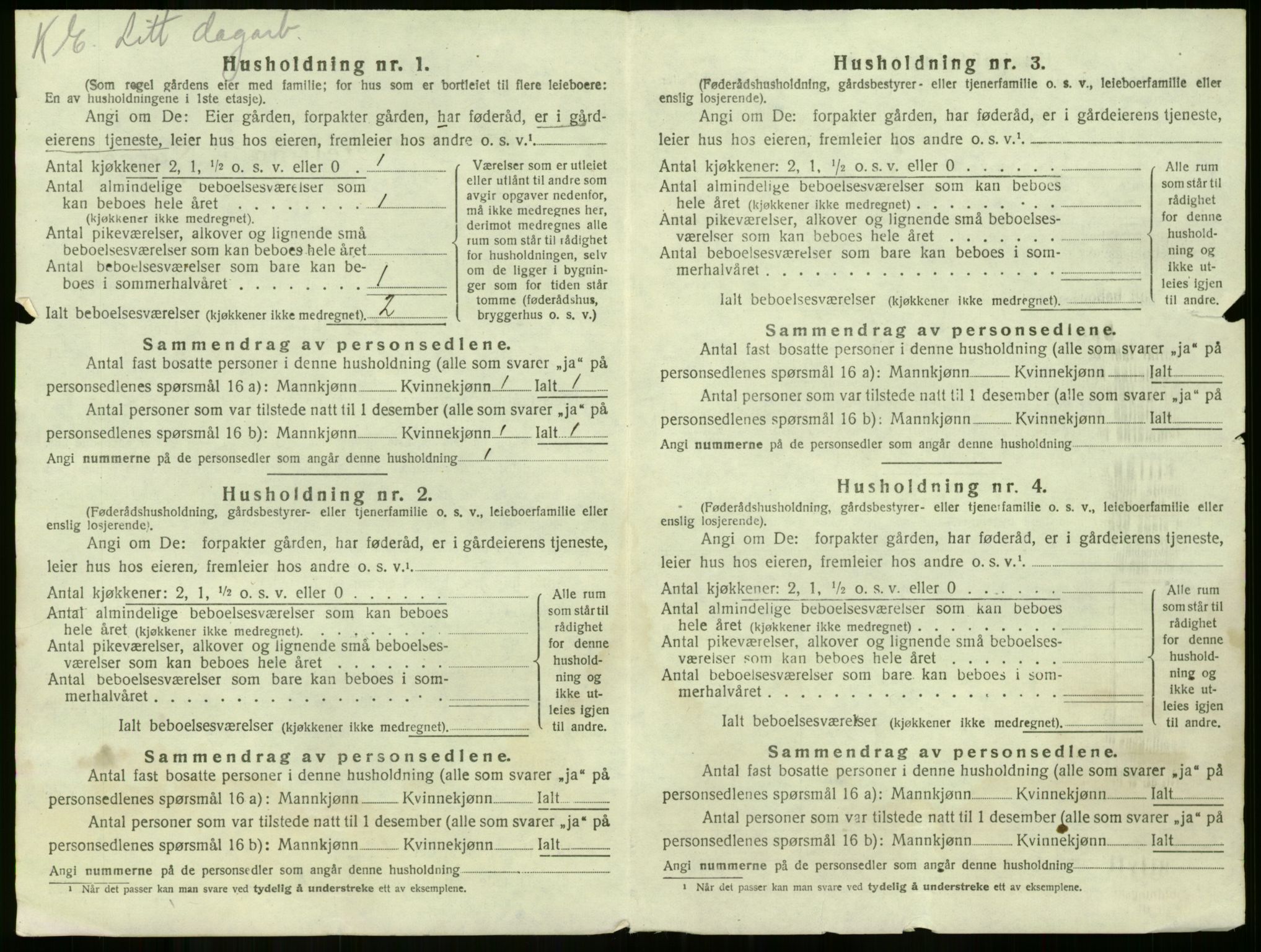 SAKO, 1920 census for Våle, 1920, p. 1079