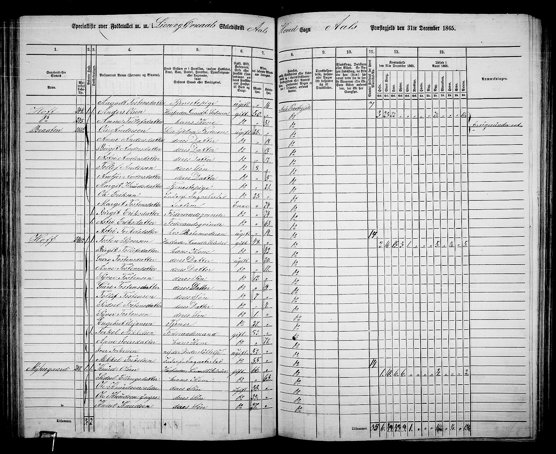 RA, 1865 census for Ål, 1865, p. 134