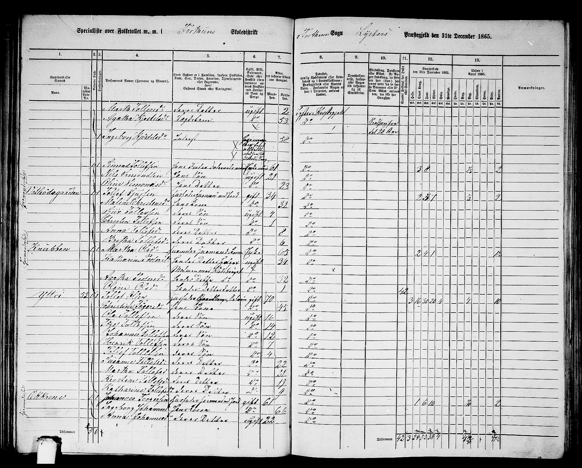 RA, 1865 census for Luster, 1865, p. 50