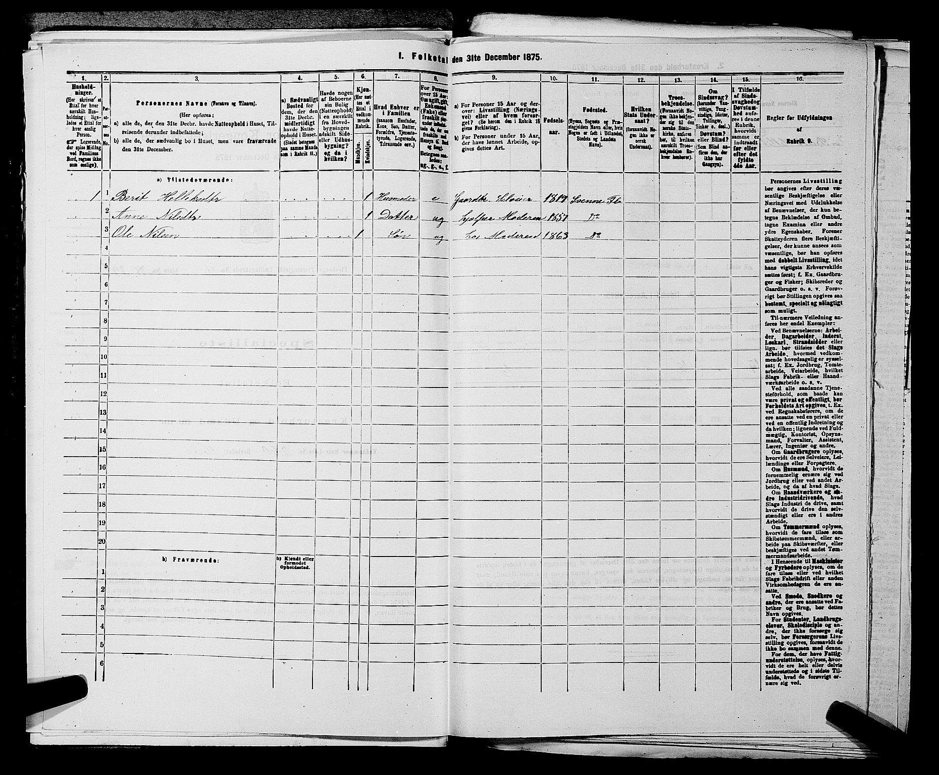 SAKO, 1875 census for 0631P Flesberg, 1875, p. 869