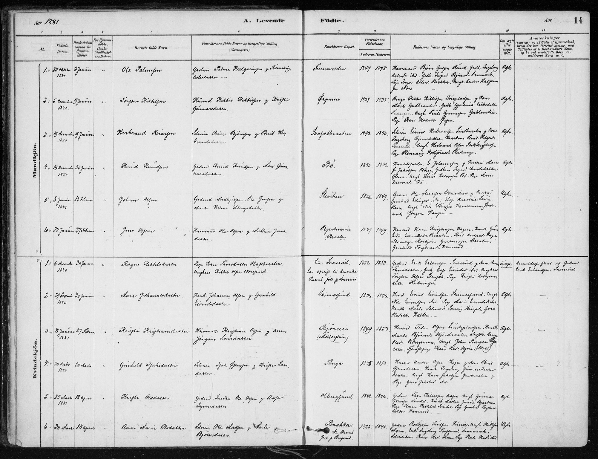 Krødsherad kirkebøker, SAKO/A-19/F/Fa/L0005: Parish register (official) no. 5, 1879-1888, p. 14