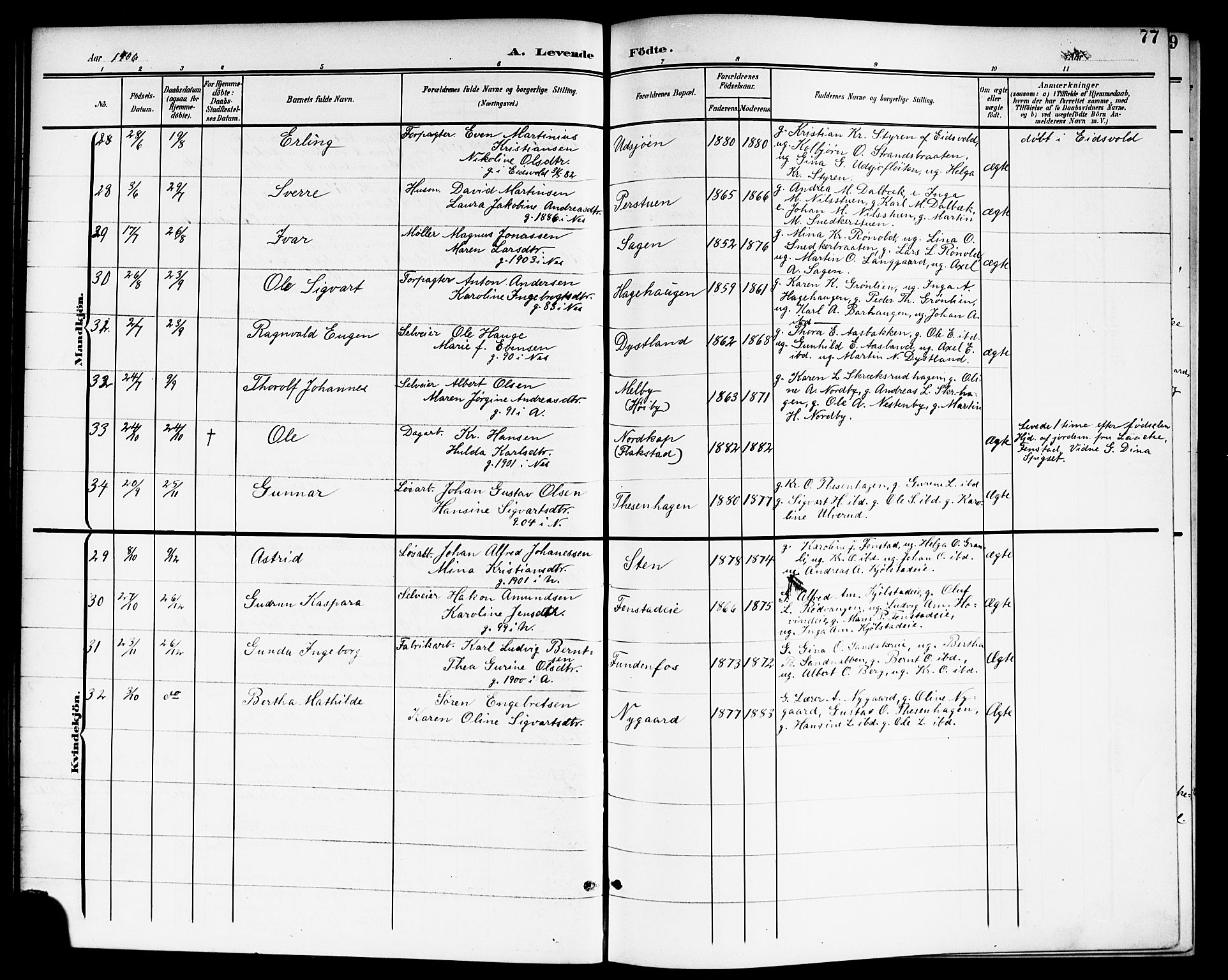Nes prestekontor Kirkebøker, AV/SAO-A-10410/G/Ga/L0002: Parish register (copy) no. I 2, 1901-1912, p. 77