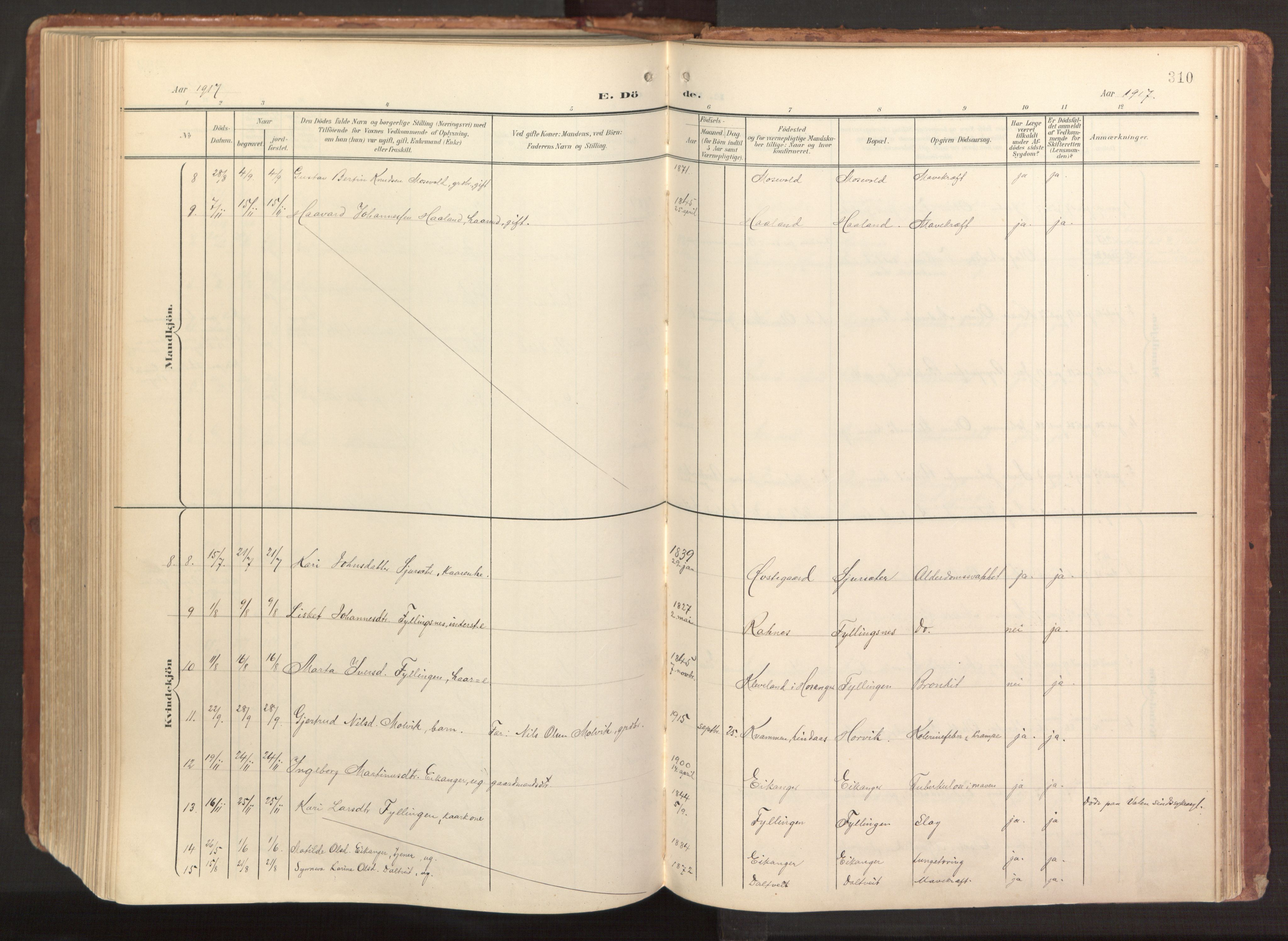 Hamre sokneprestembete, AV/SAB-A-75501/H/Ha/Haa/Haab/L0002: Parish register (official) no. B 2, 1905-1924, p. 310