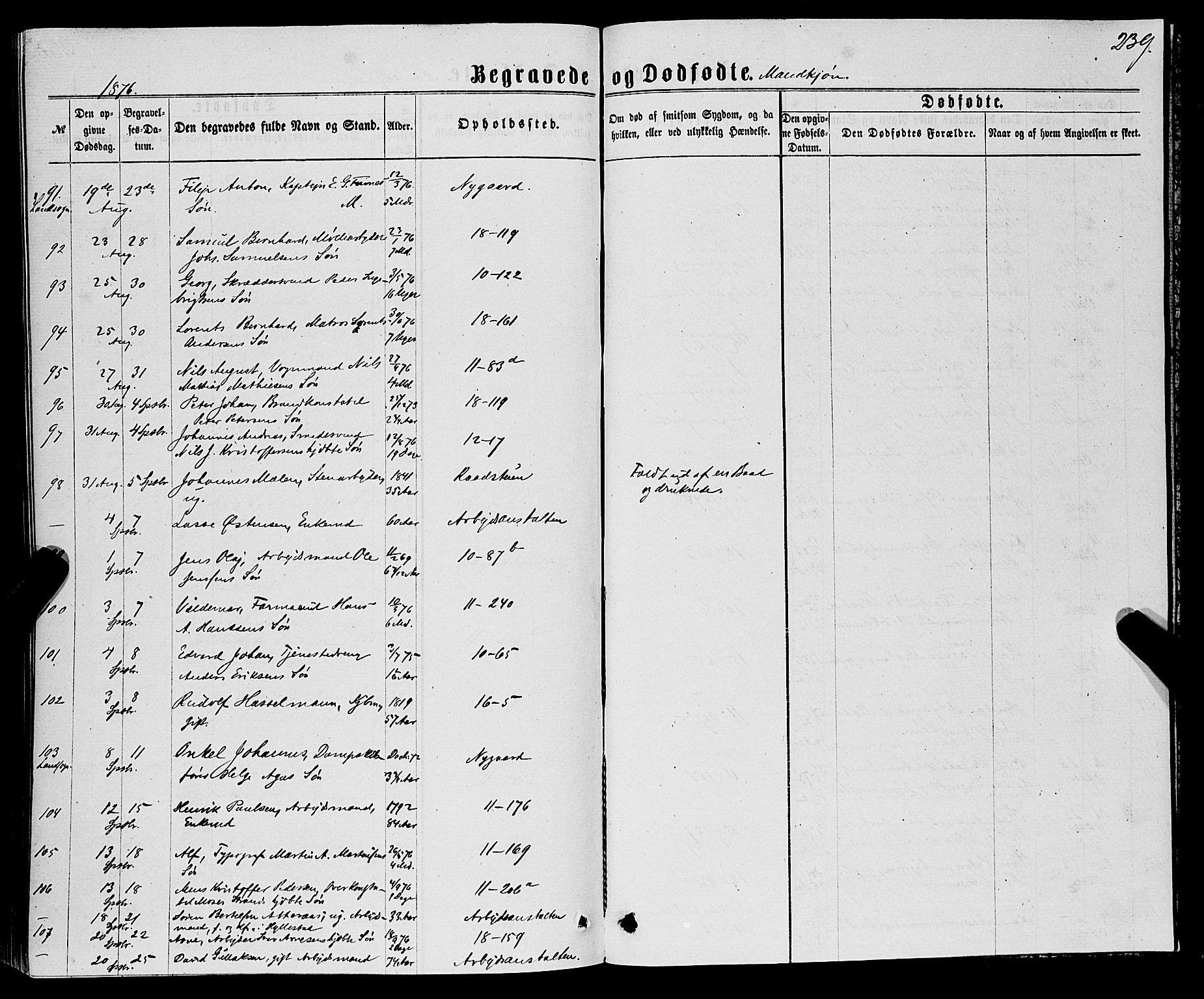 Domkirken sokneprestembete, AV/SAB-A-74801/H/Haa/L0042: Parish register (official) no. E 3, 1863-1876, p. 239