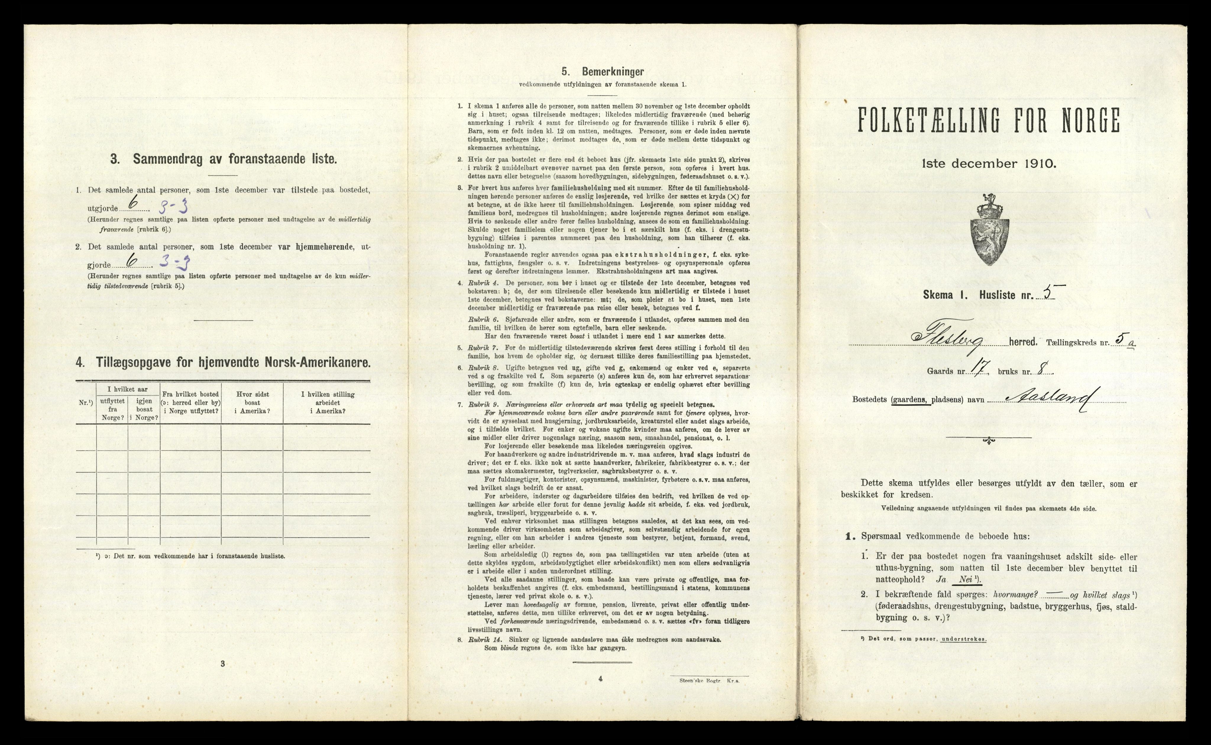 RA, 1910 census for Flesberg, 1910, p. 313
