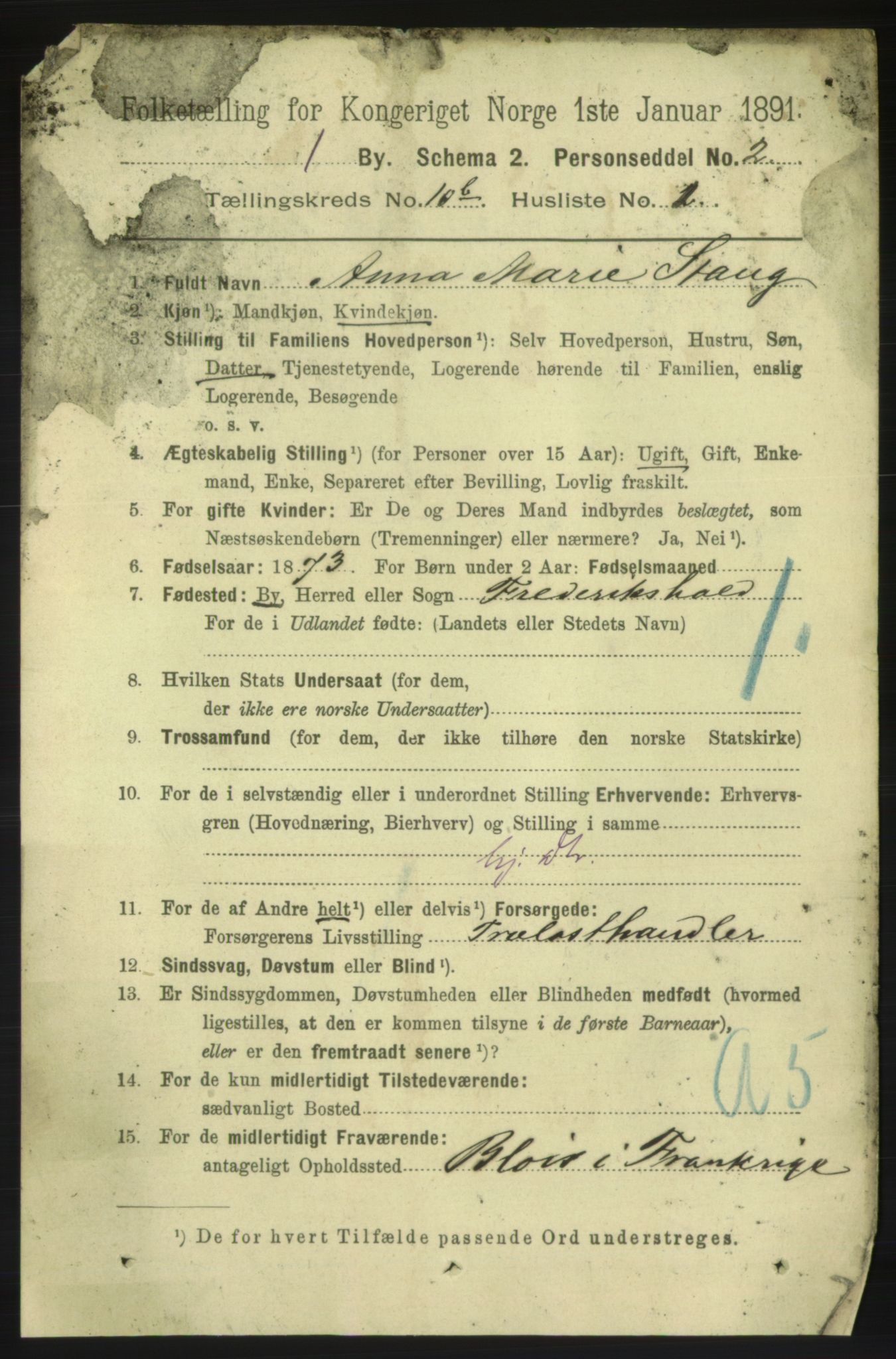 RA, 1891 census for 0101 Fredrikshald, 1891, p. 7349