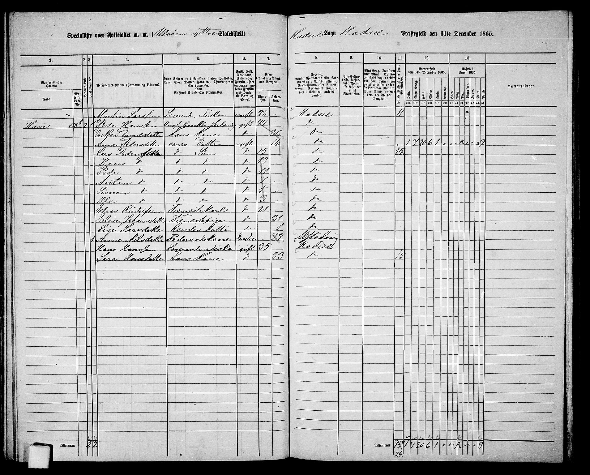 RA, 1865 census for Hadsel, 1865, p. 96