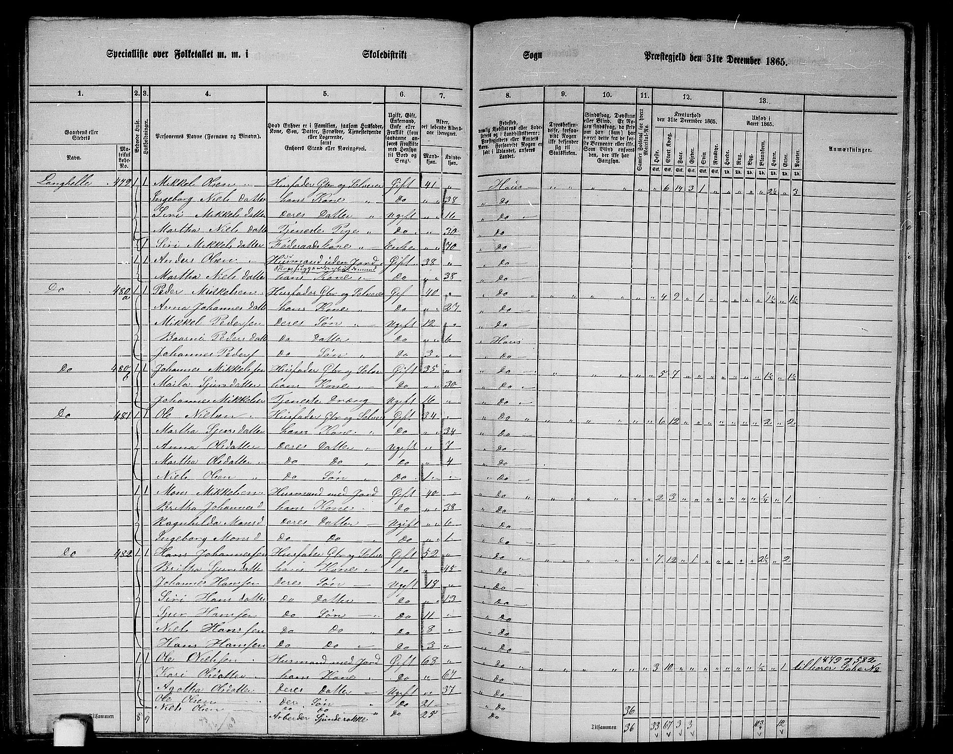 RA, 1865 census for Haus, 1865, p. 193