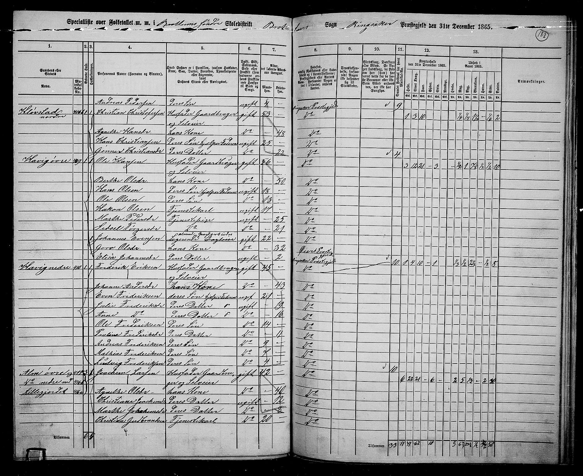 RA, 1865 census for Ringsaker, 1865, p. 424