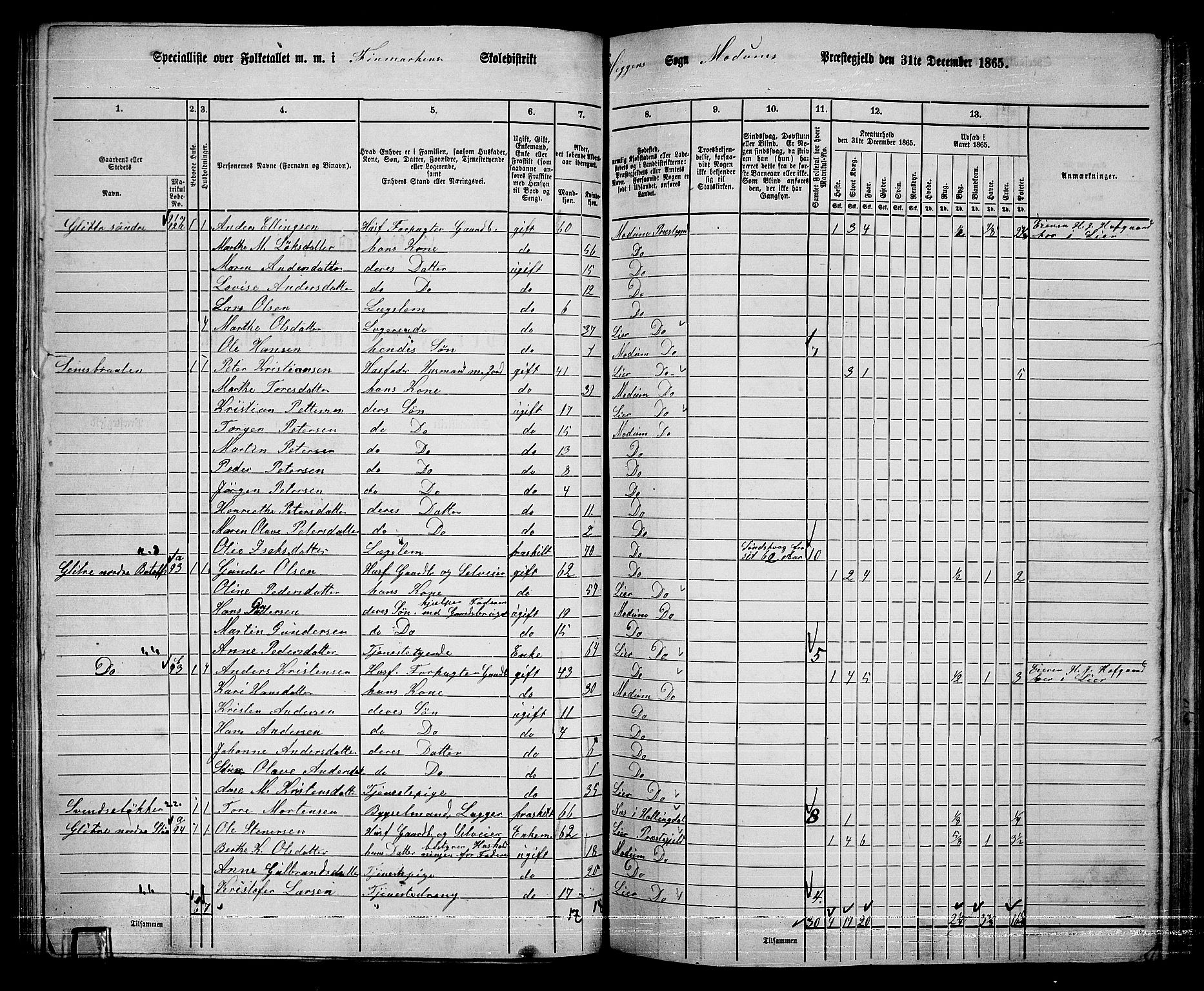 RA, 1865 census for Modum, 1865, p. 96