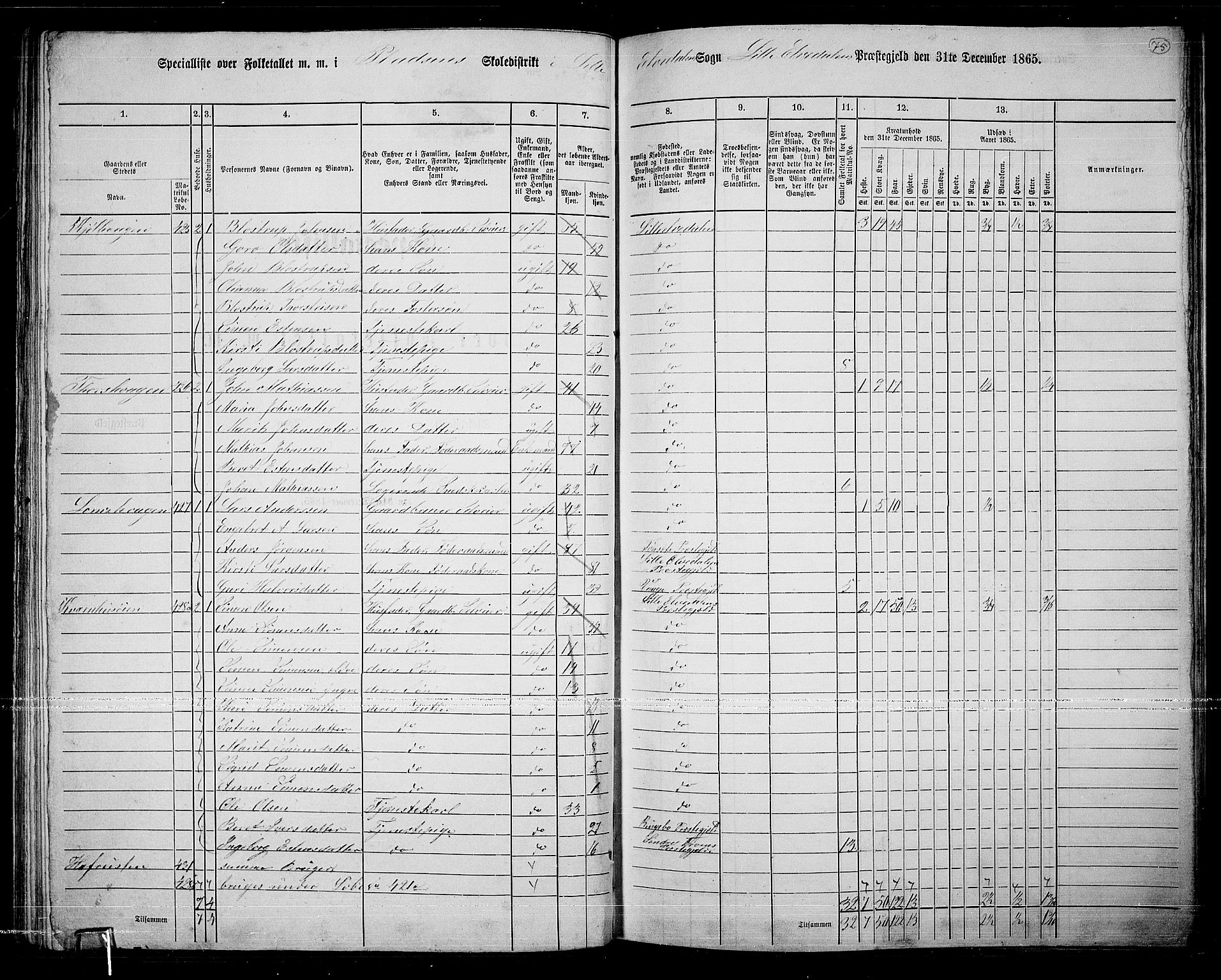 RA, 1865 census for Lille Elvedalen, 1865, p. 67