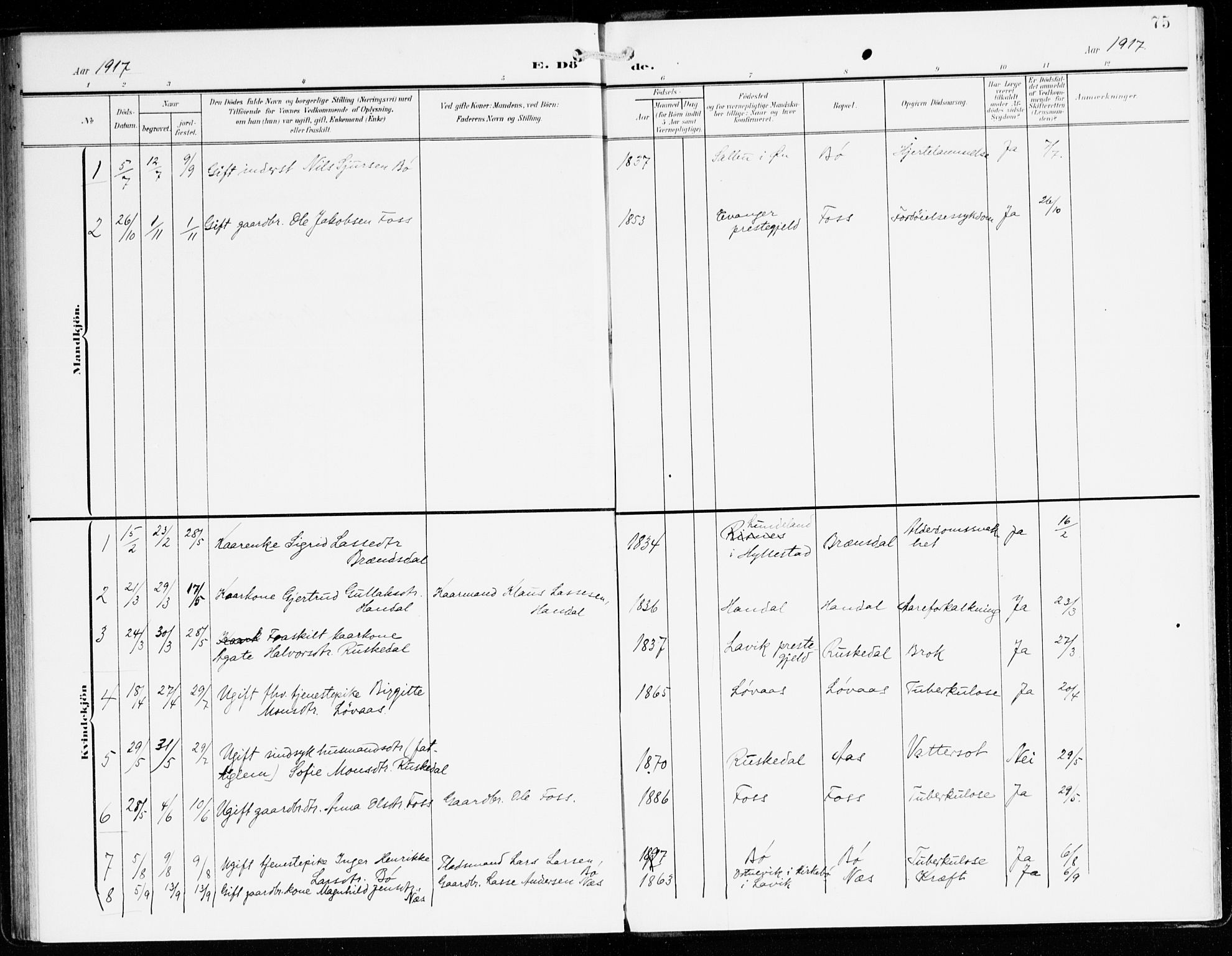 Hyllestad sokneprestembete, SAB/A-80401: Parish register (official) no. C 2, 1904-1917, p. 75