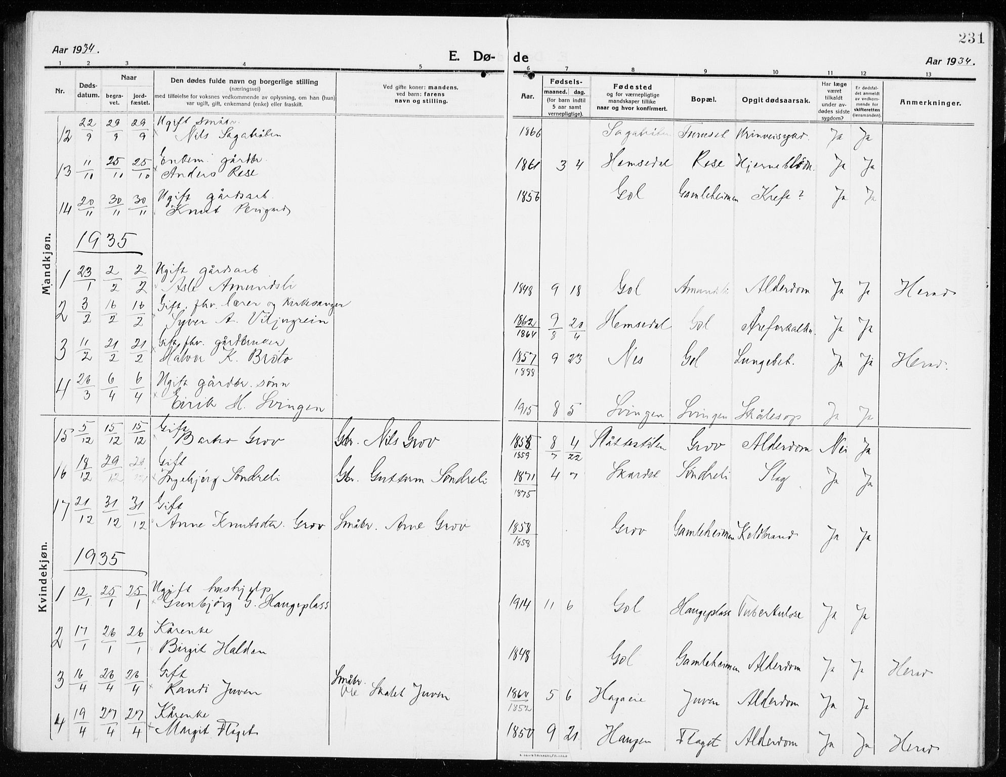 Gol kirkebøker, SAKO/A-226/G/Ga/L0004: Parish register (copy) no. I 4, 1915-1943, p. 231