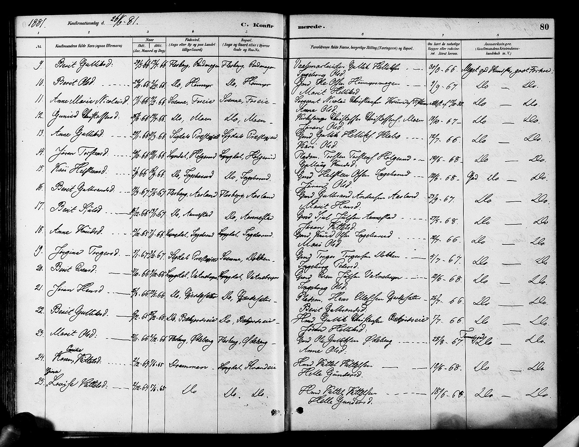 Flesberg kirkebøker, SAKO/A-18/F/Fa/L0008: Parish register (official) no. I 8, 1879-1899, p. 80
