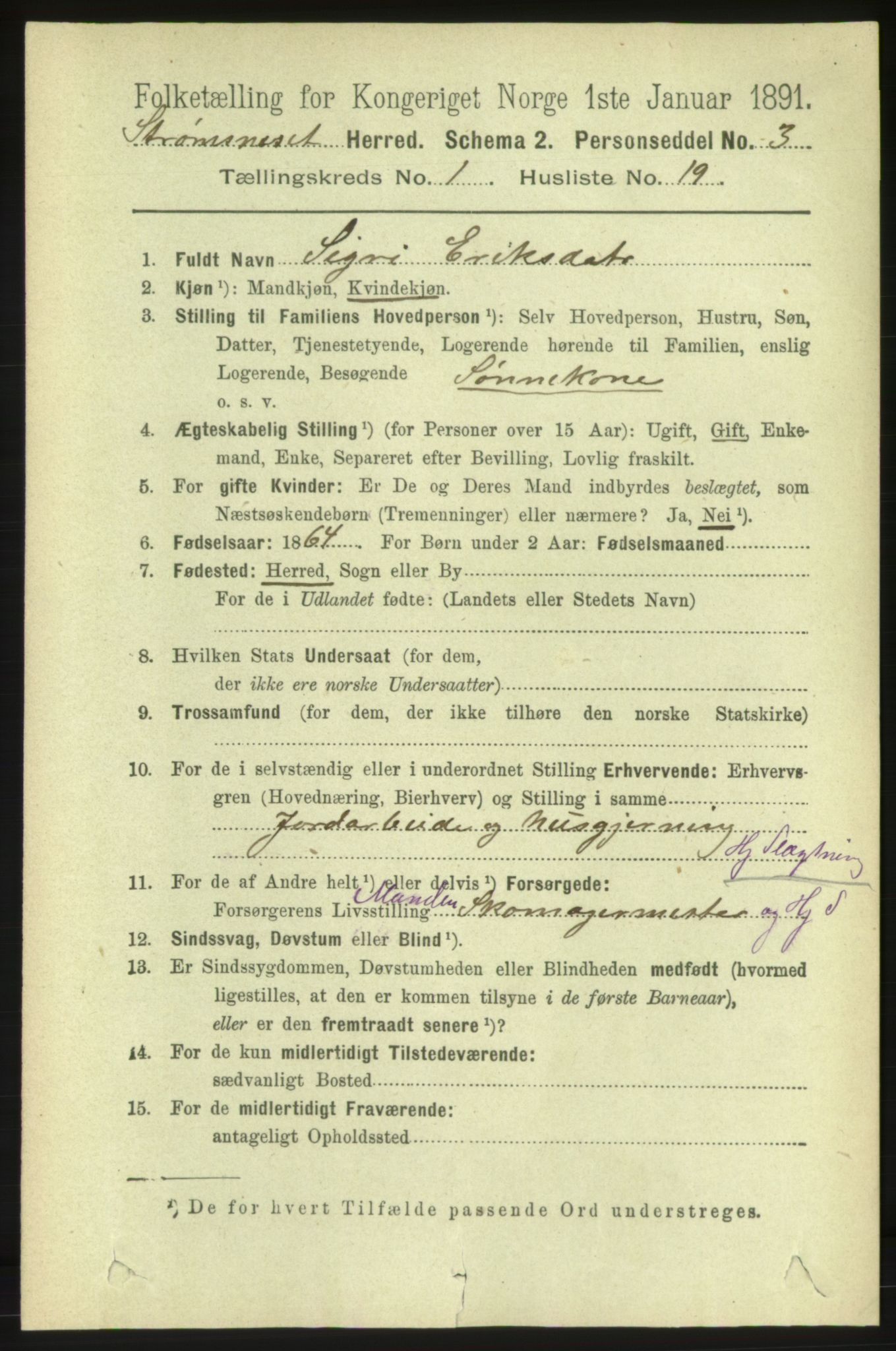 RA, 1891 census for 1559 Straumsnes, 1891, p. 176