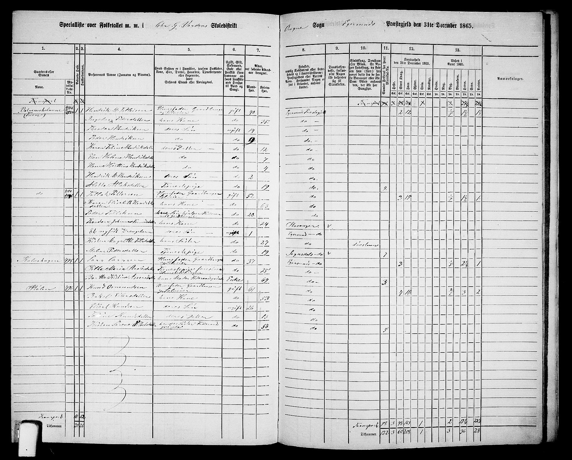 RA, 1865 census for Eigersund/Eigersund og Ogna, 1865, p. 148