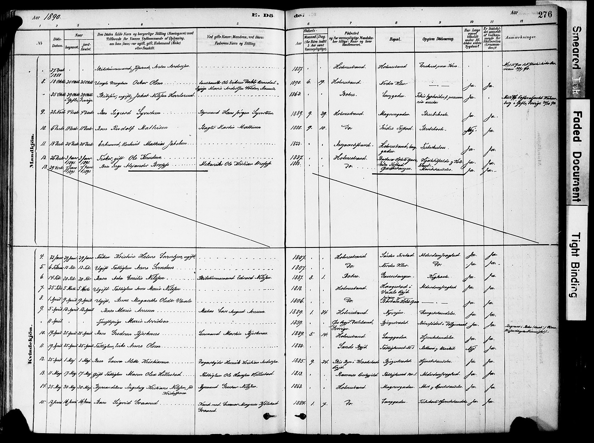 Holmestrand kirkebøker, AV/SAKO-A-346/F/Fa/L0004: Parish register (official) no. 4, 1880-1901, p. 276