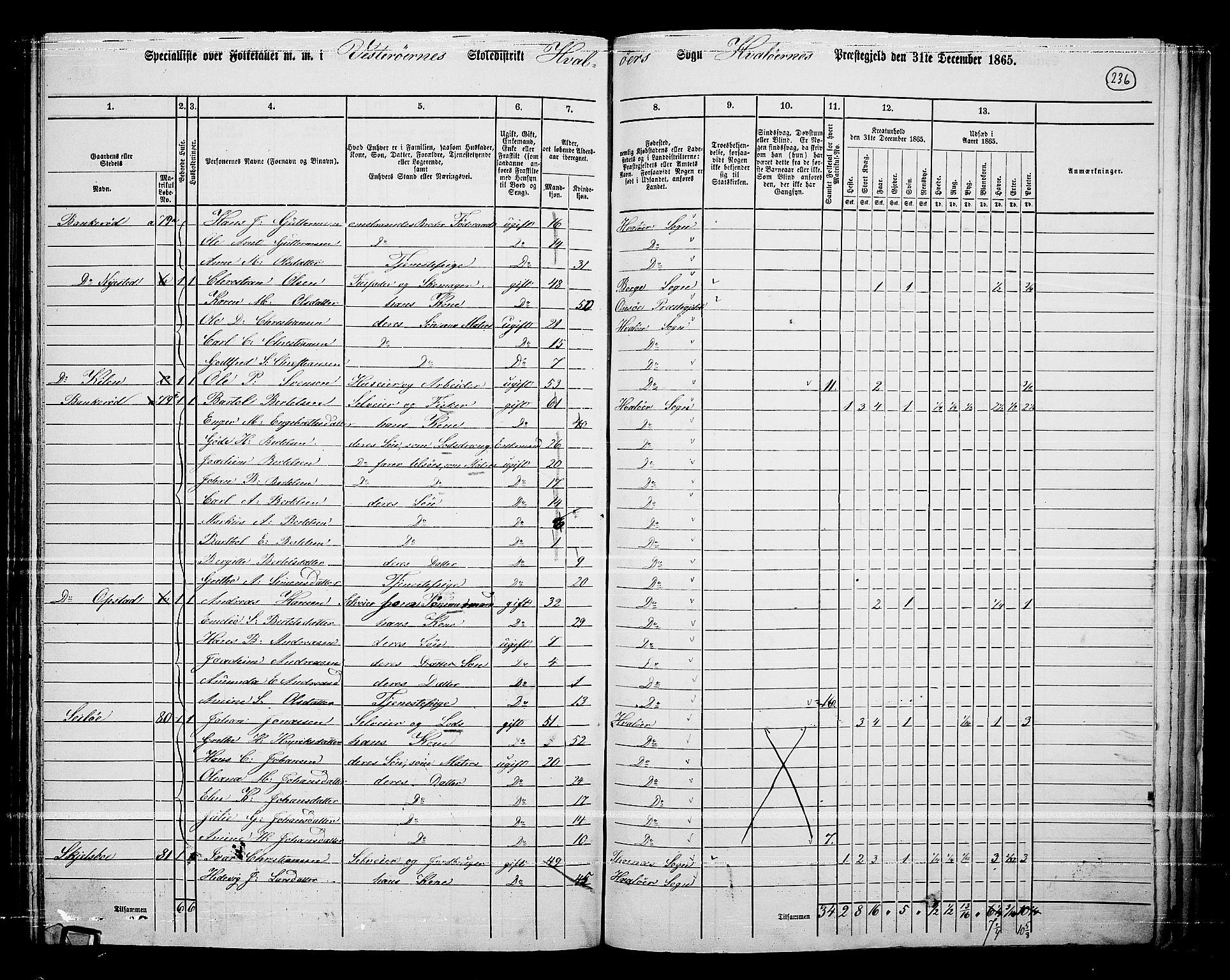 RA, 1865 census for Hvaler, 1865, p. 70