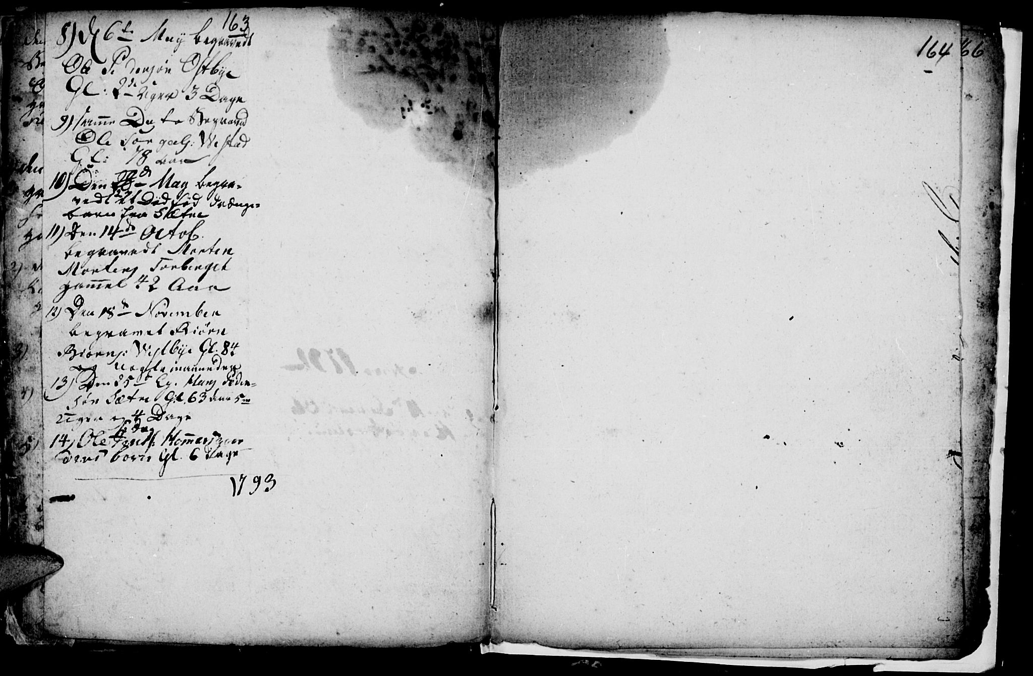 Trysil prestekontor, SAH/PREST-046/H/Ha/Hab/L0001: Parish register (copy) no. 1, 1781-1799, p. 163-164