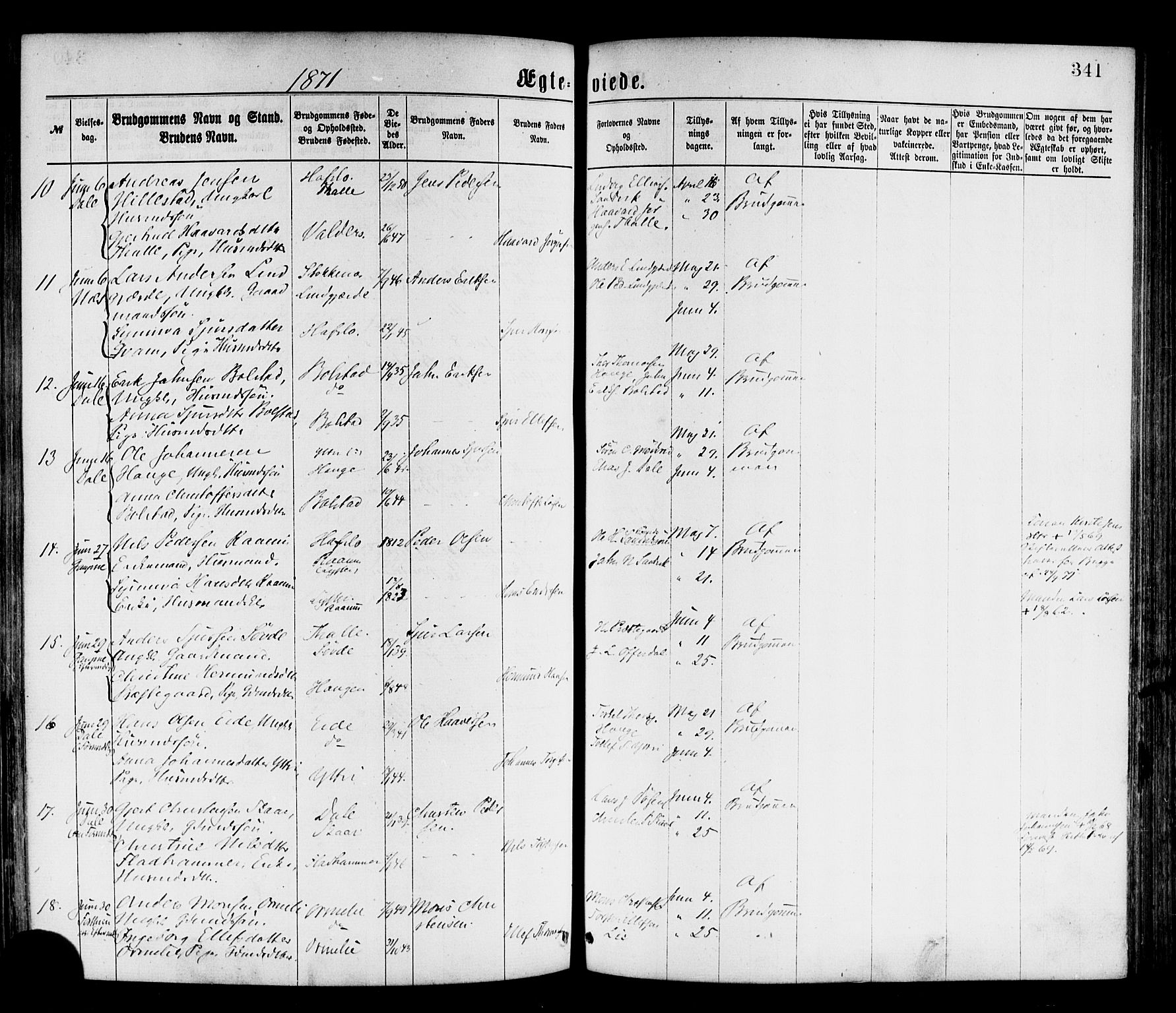 Luster sokneprestembete, SAB/A-81101/H/Haa/Haaa/L0010: Parish register (official) no. A 10, 1871-1886, p. 341