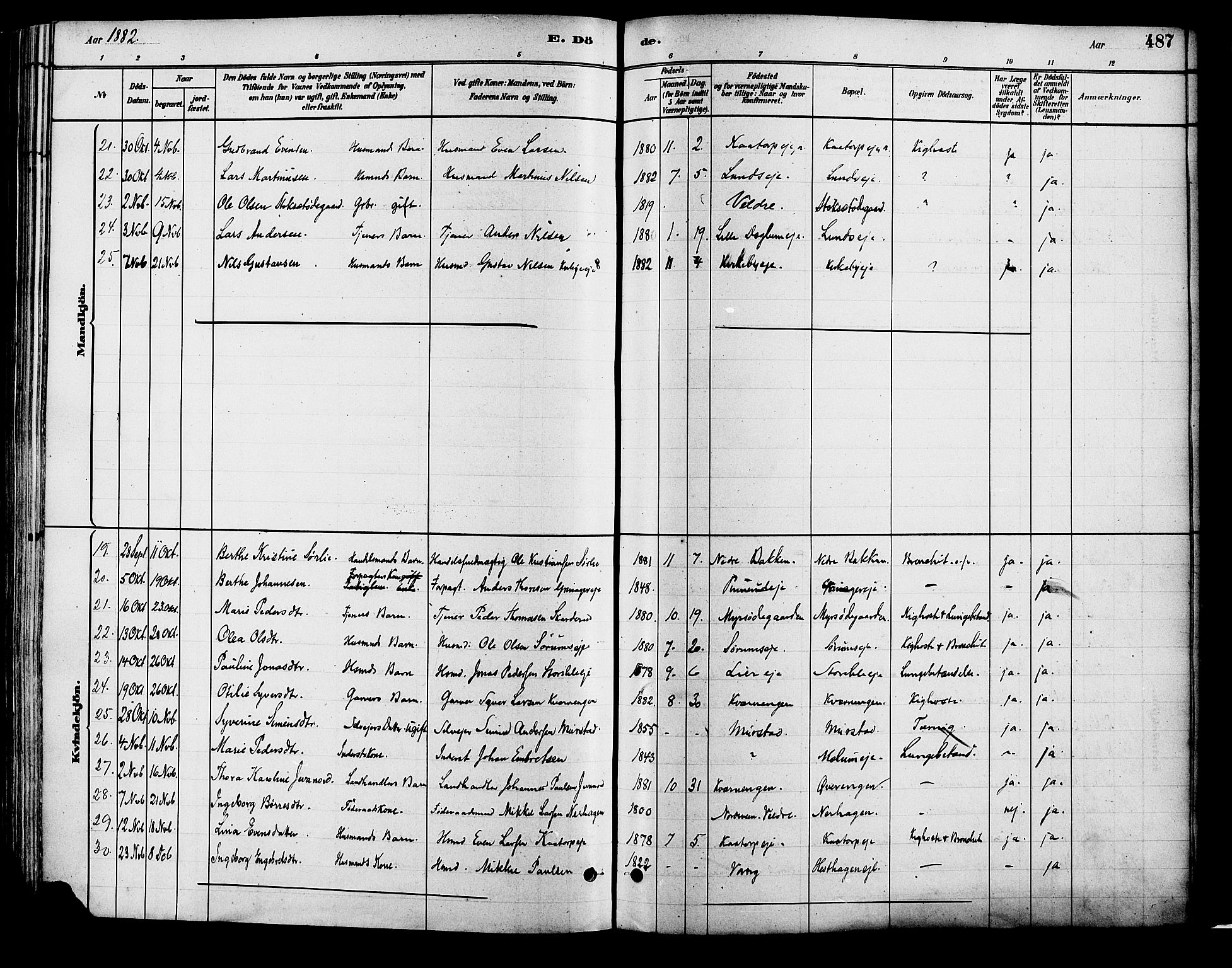 Vang prestekontor, Hedmark, SAH/PREST-008/H/Ha/Haa/L0018B: Parish register (official) no. 18B, 1880-1906, p. 487