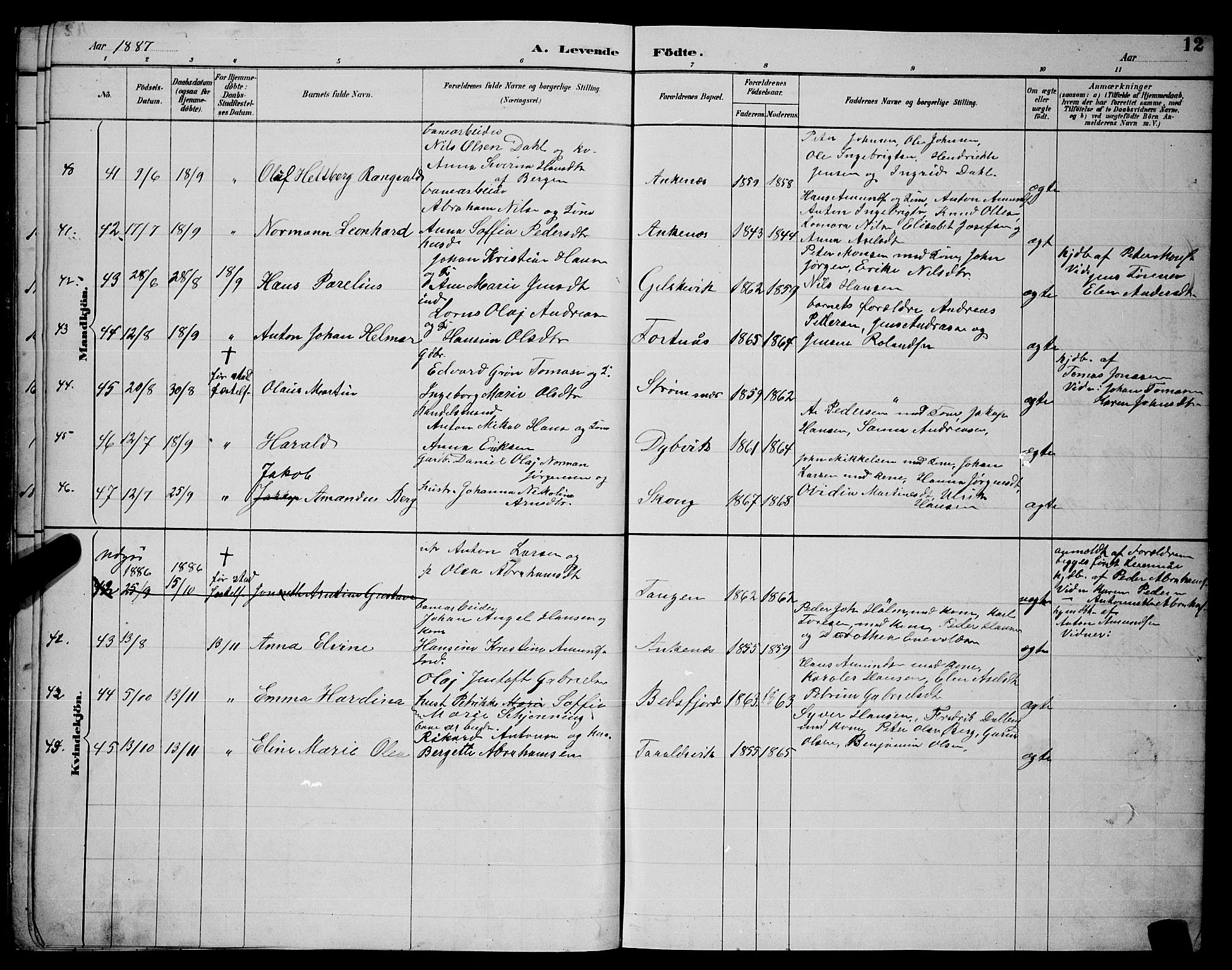 Ministerialprotokoller, klokkerbøker og fødselsregistre - Nordland, AV/SAT-A-1459/866/L0952: Parish register (copy) no. 866C01, 1886-1899, p. 12