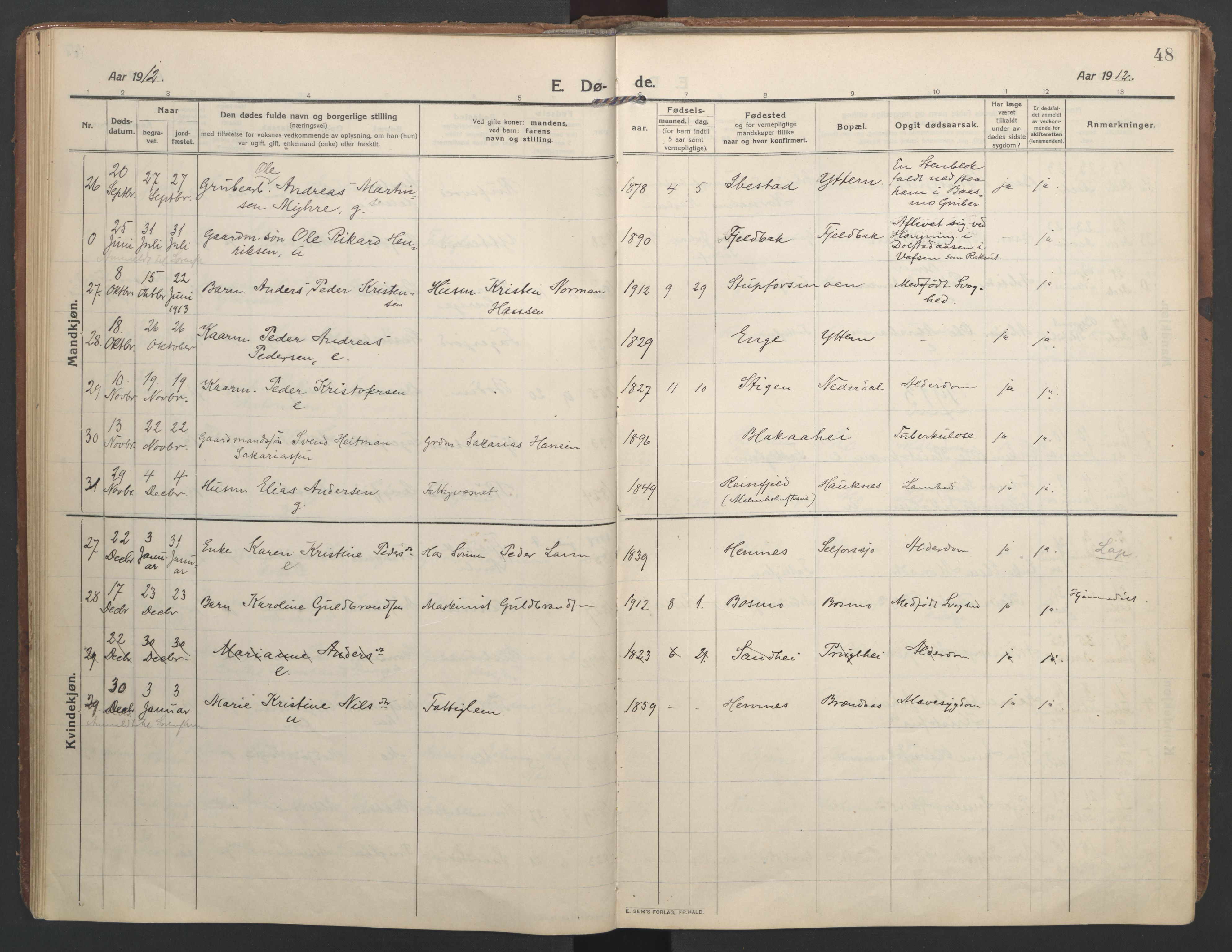 Ministerialprotokoller, klokkerbøker og fødselsregistre - Nordland, SAT/A-1459/827/L0405: Parish register (official) no. 827A17, 1912-1925, p. 48