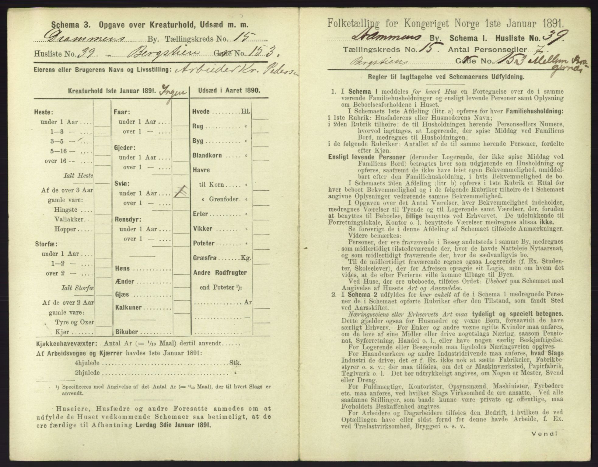 RA, 1891 census for 0602 Drammen, 1891, p. 1311